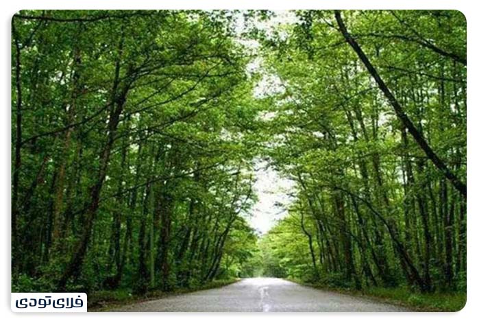 جاهای دیدنی گیلان | طبیعت حیرتانگیز شمال! زیباترین جاهای دیدنی گیلان