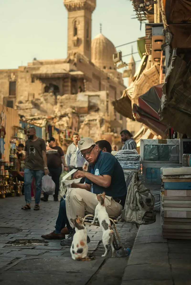 بازی با گربه ها در خیابان های قاهره