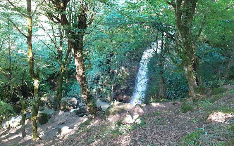 راهنمای سفر یک روزه به قلعه رودخان 10 طبیعت جنگلی آبشار وزن بن، منبع عکس: گوگل مپ، عکاس: فرید مقامی