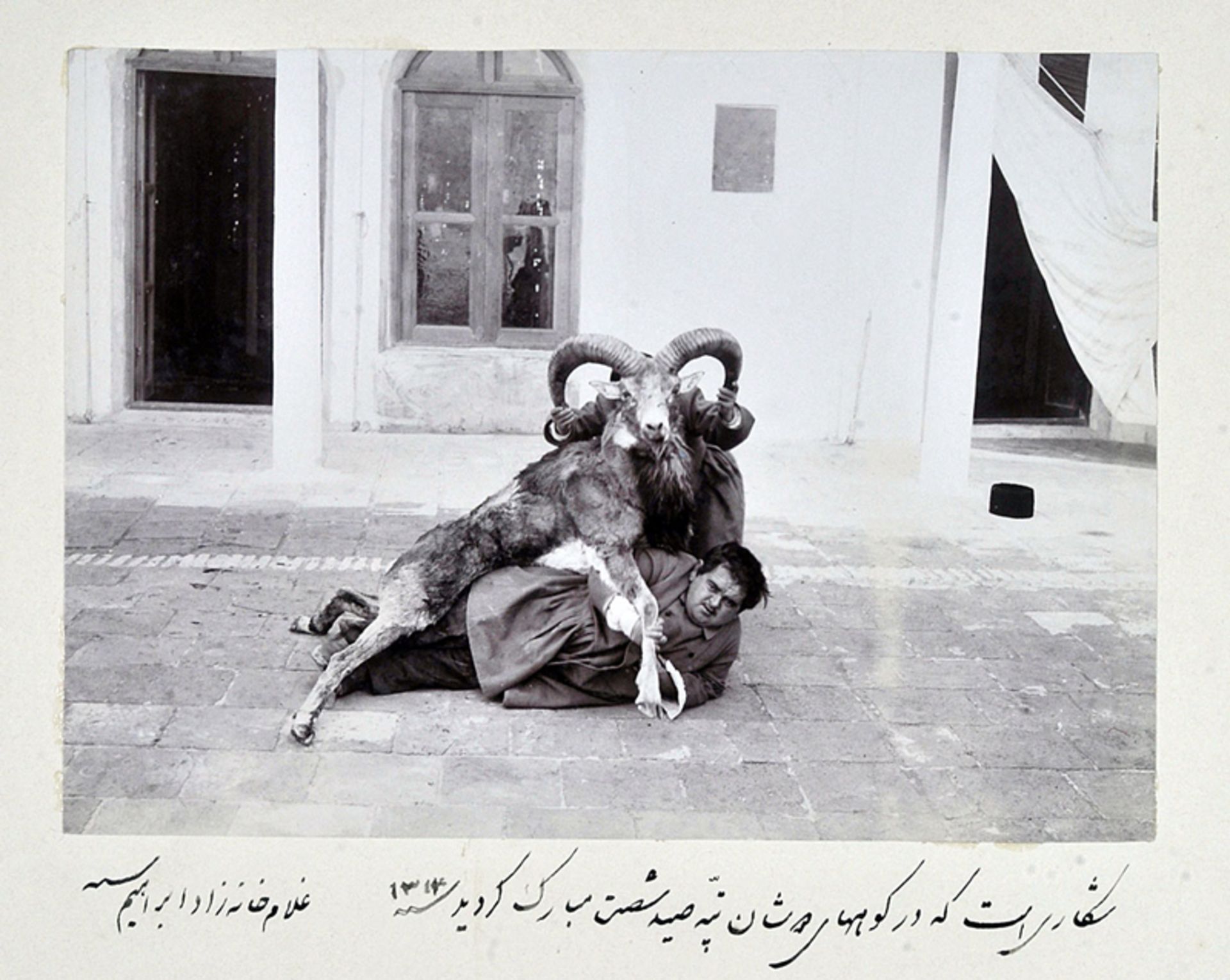 عکس یادگاری با شکار شاهی