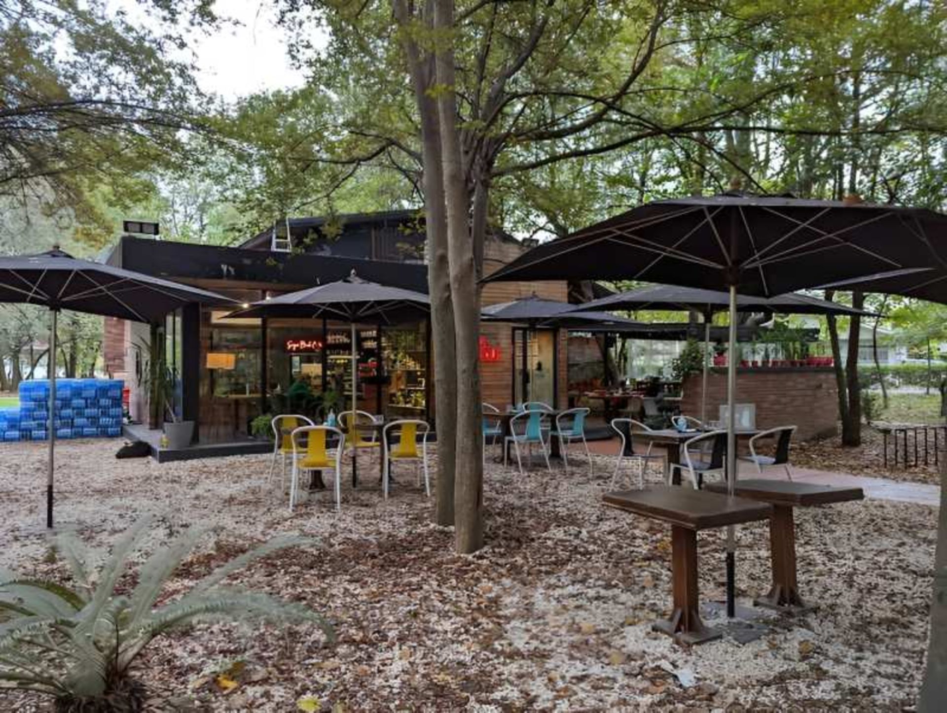 حیاط کافه کتاب سایه رشت