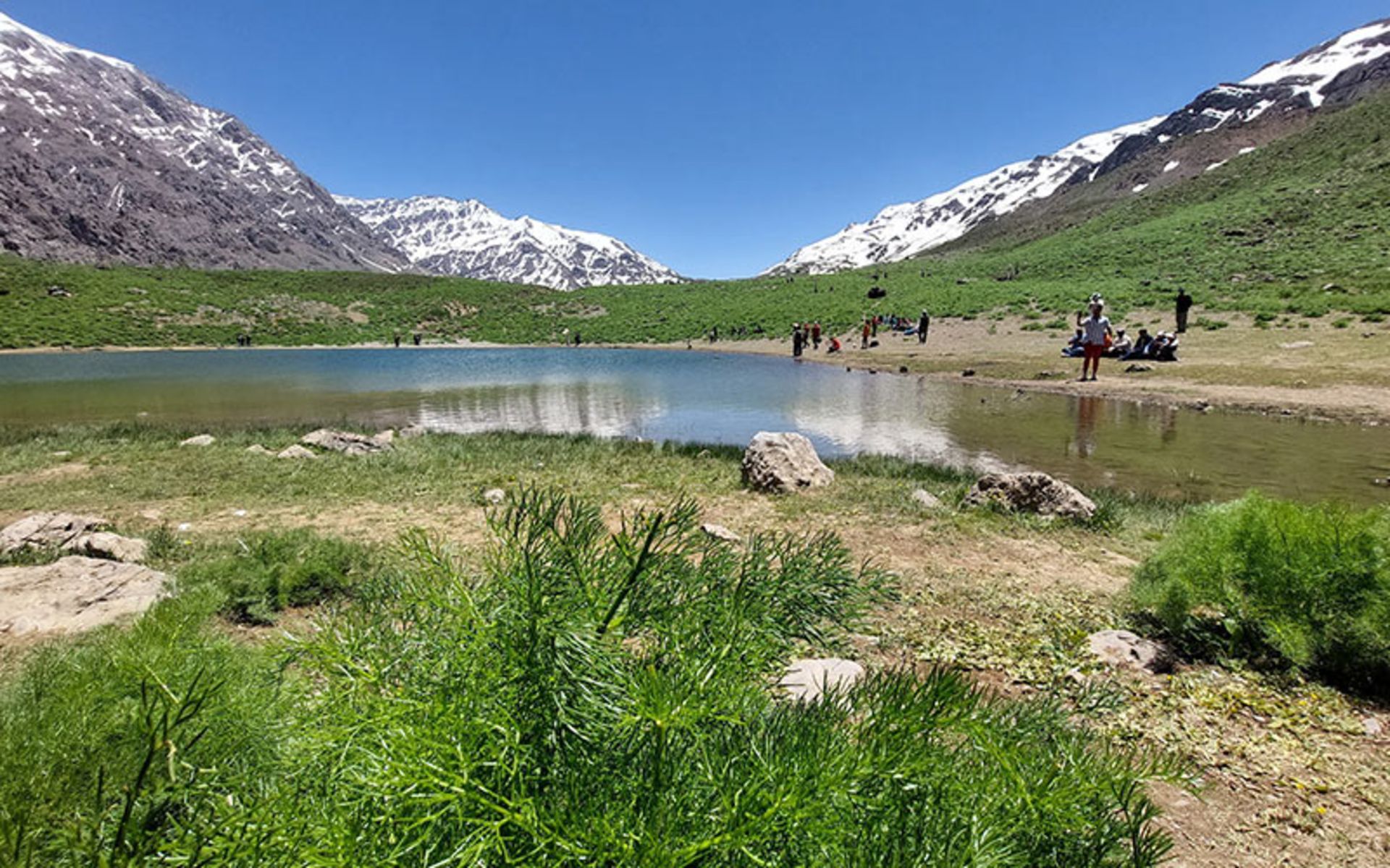 دریاچه کوه گل در بهار