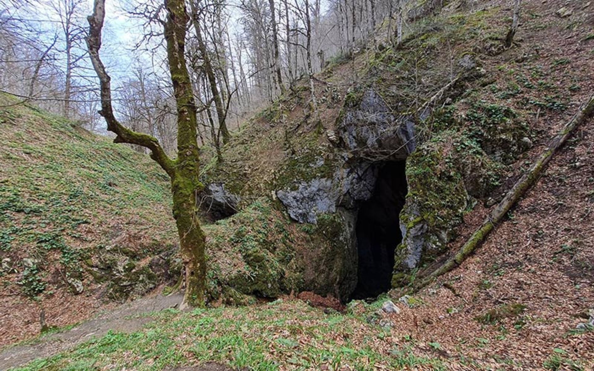 ورودی غار آویشو