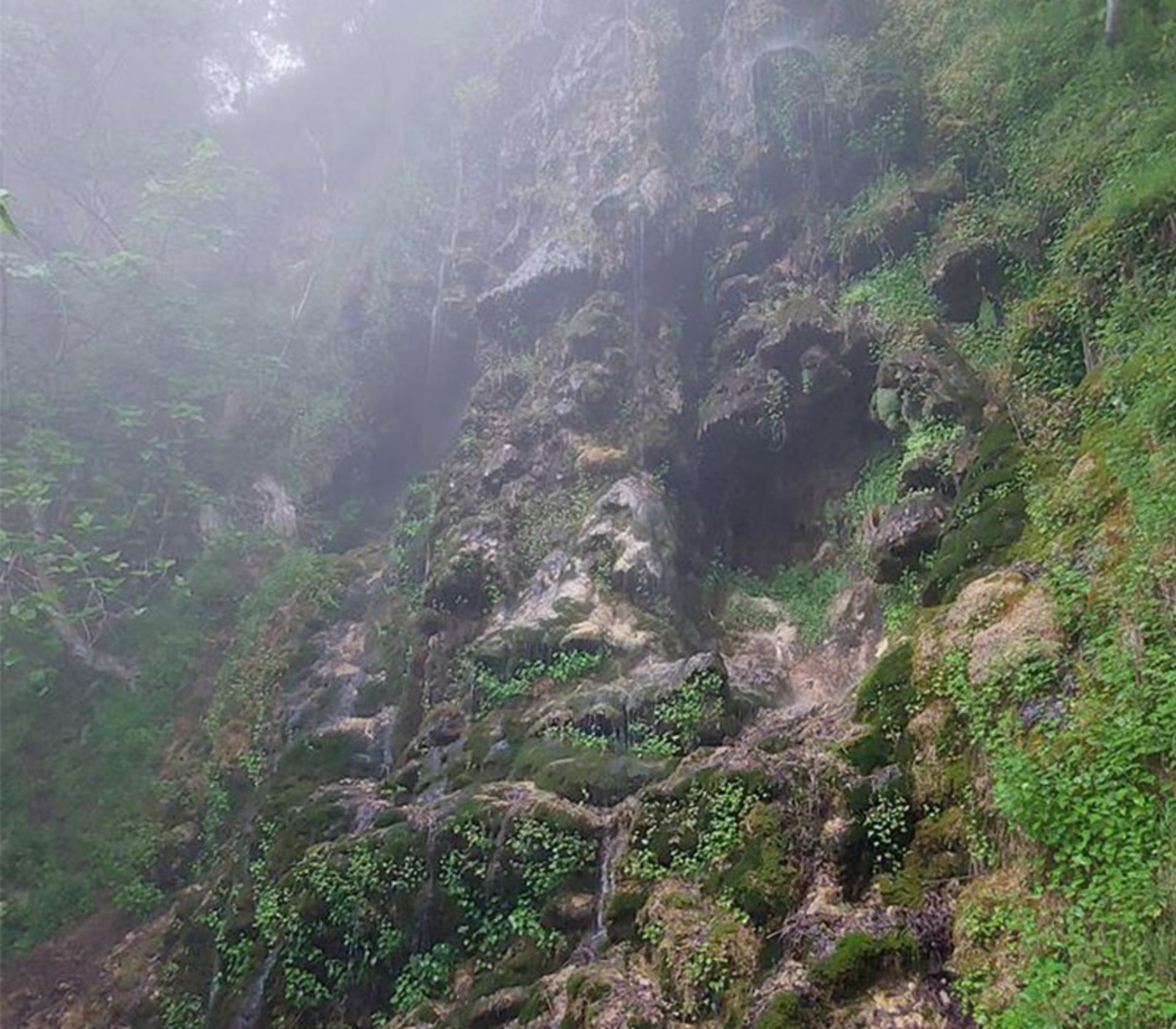 طبیعت آبشار سیاسرت