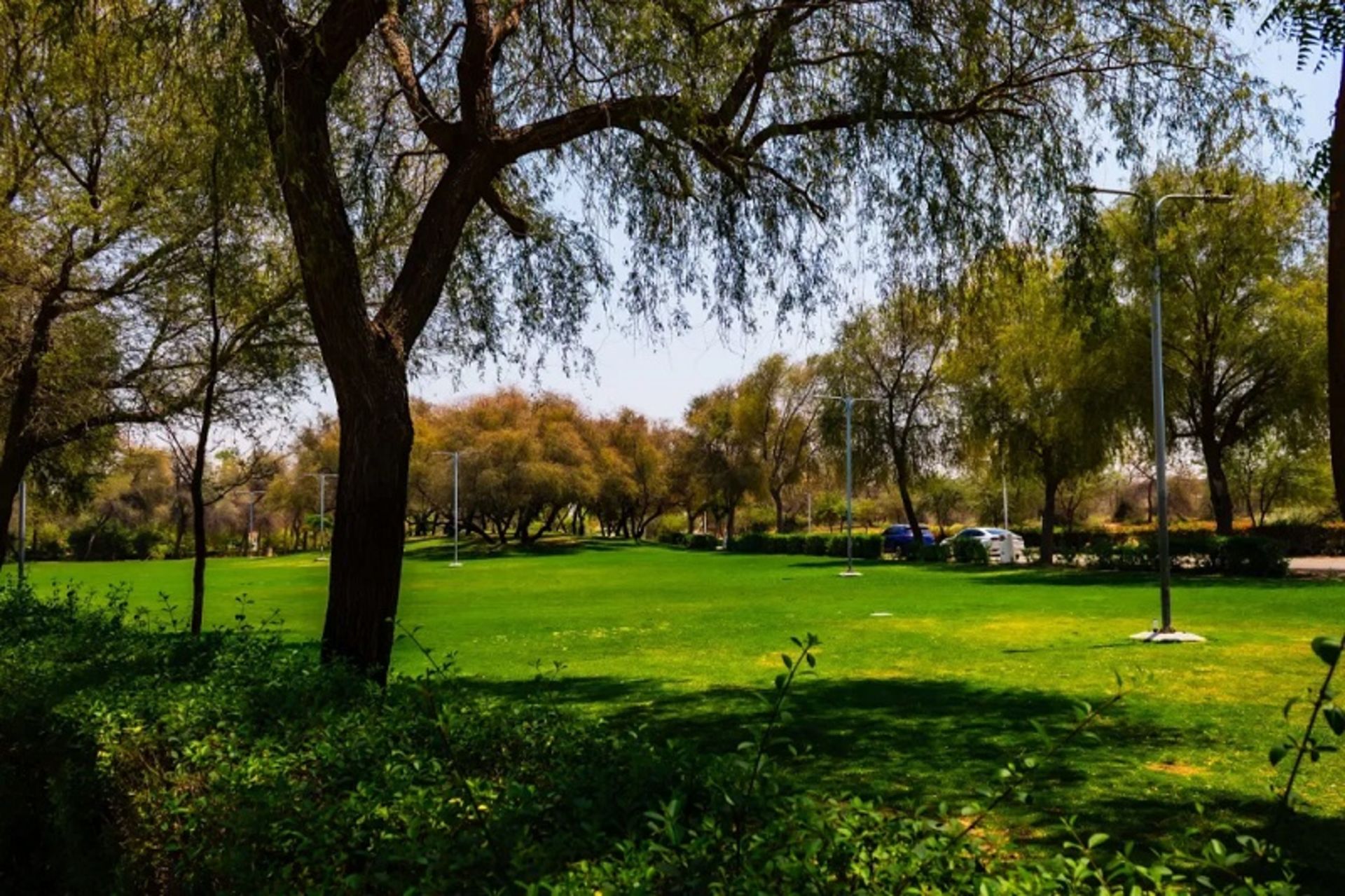 بهترین پارکهای دبی؛ تفریح و ماجراجویی در دل صحرا 9 فضای سبز پارک مشرف