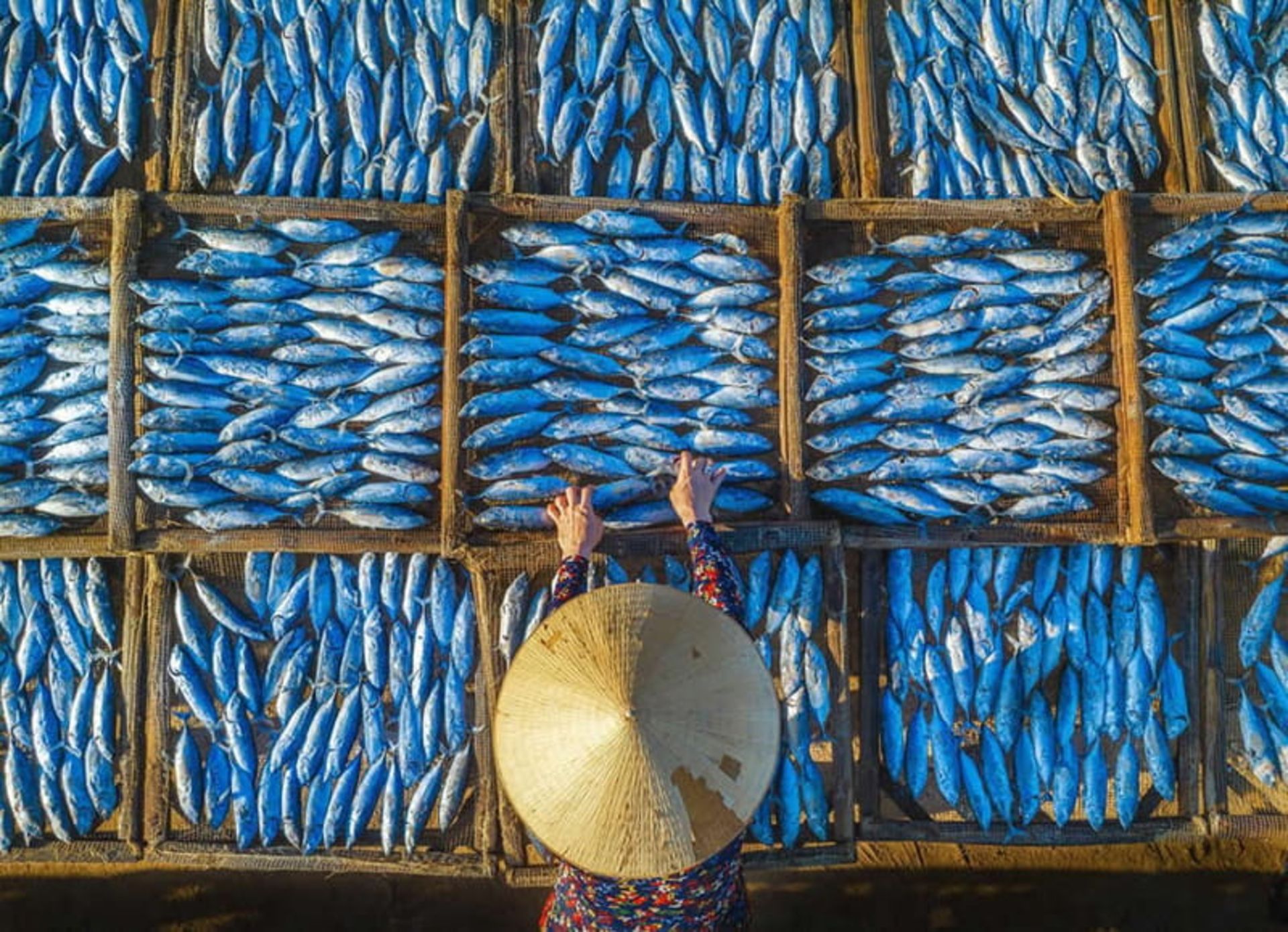 ماهی فروش ویتنامی