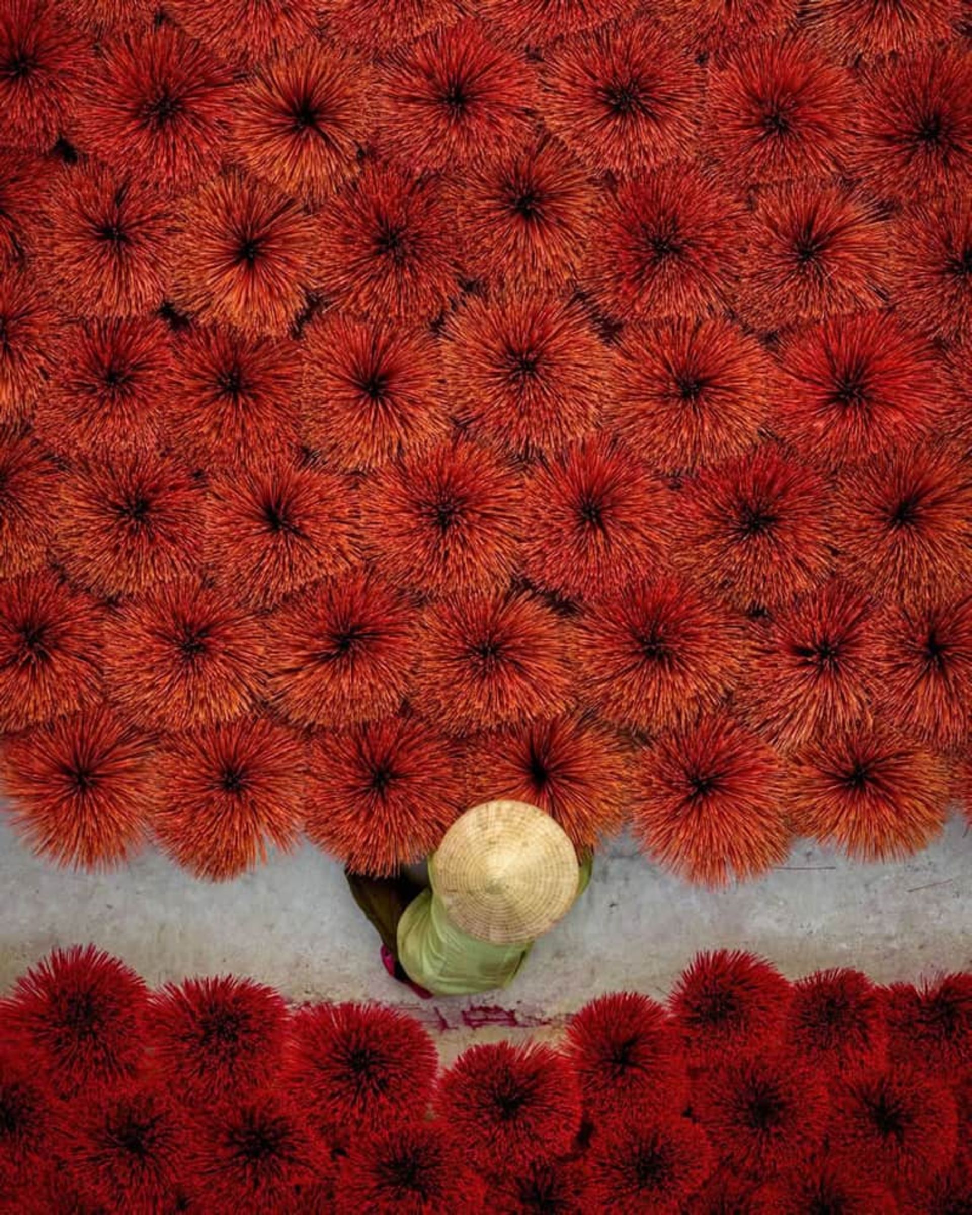 زن ویتنامی و عودهای قرمز