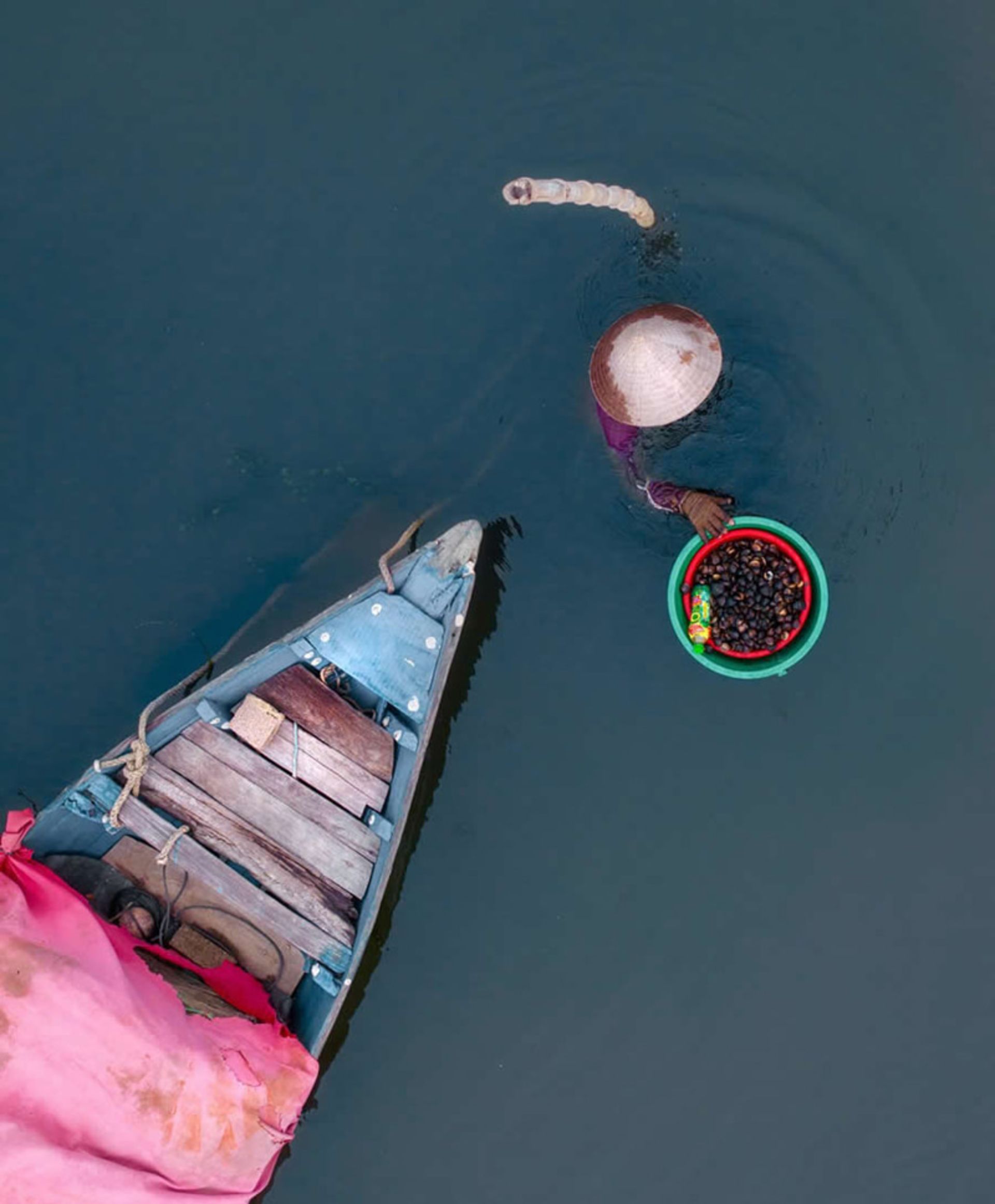 کارگر ویتنامی و صید حلزون