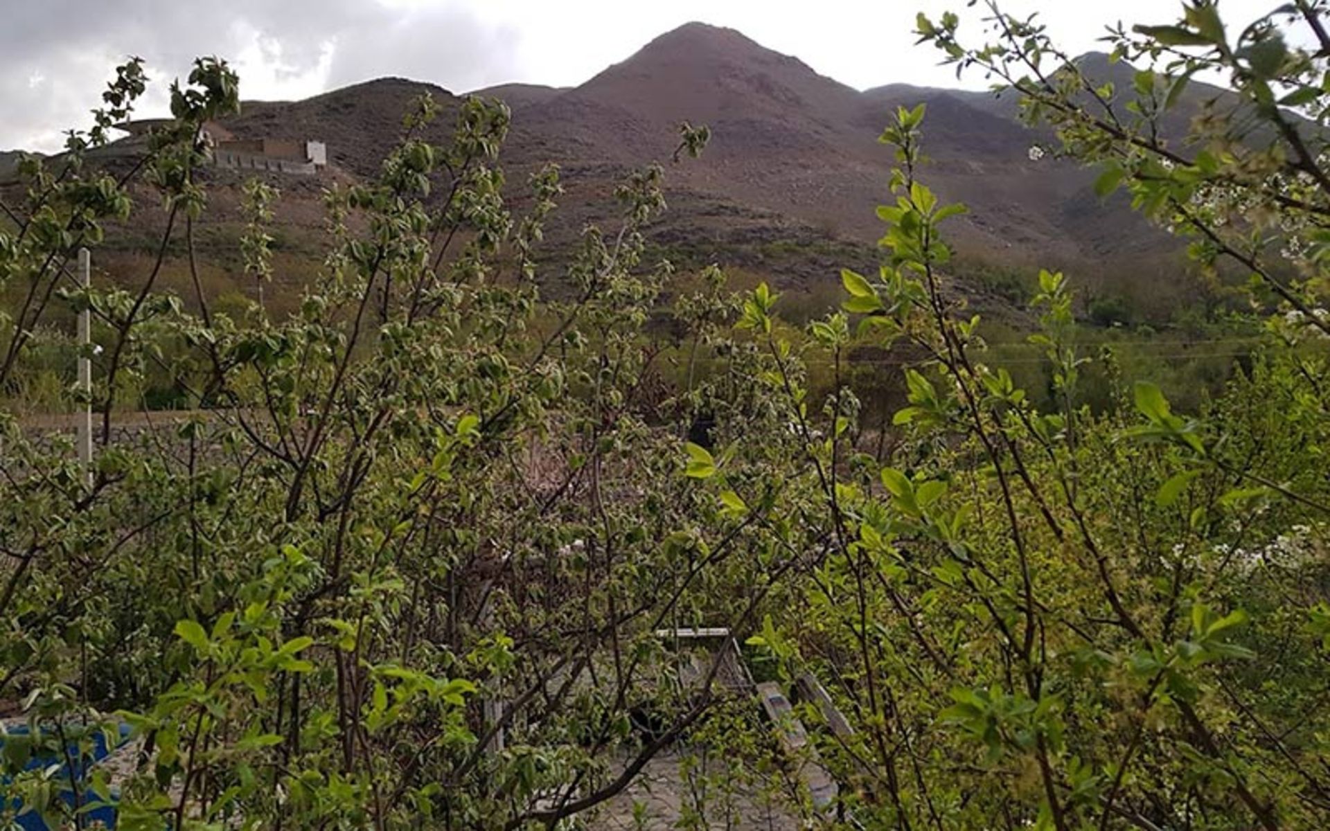 مقاصد سفر بهاری به کاشان؛ از عطر گلاب تا پرسه تاریخ 7 طبیعت روستای جوینان در بهار