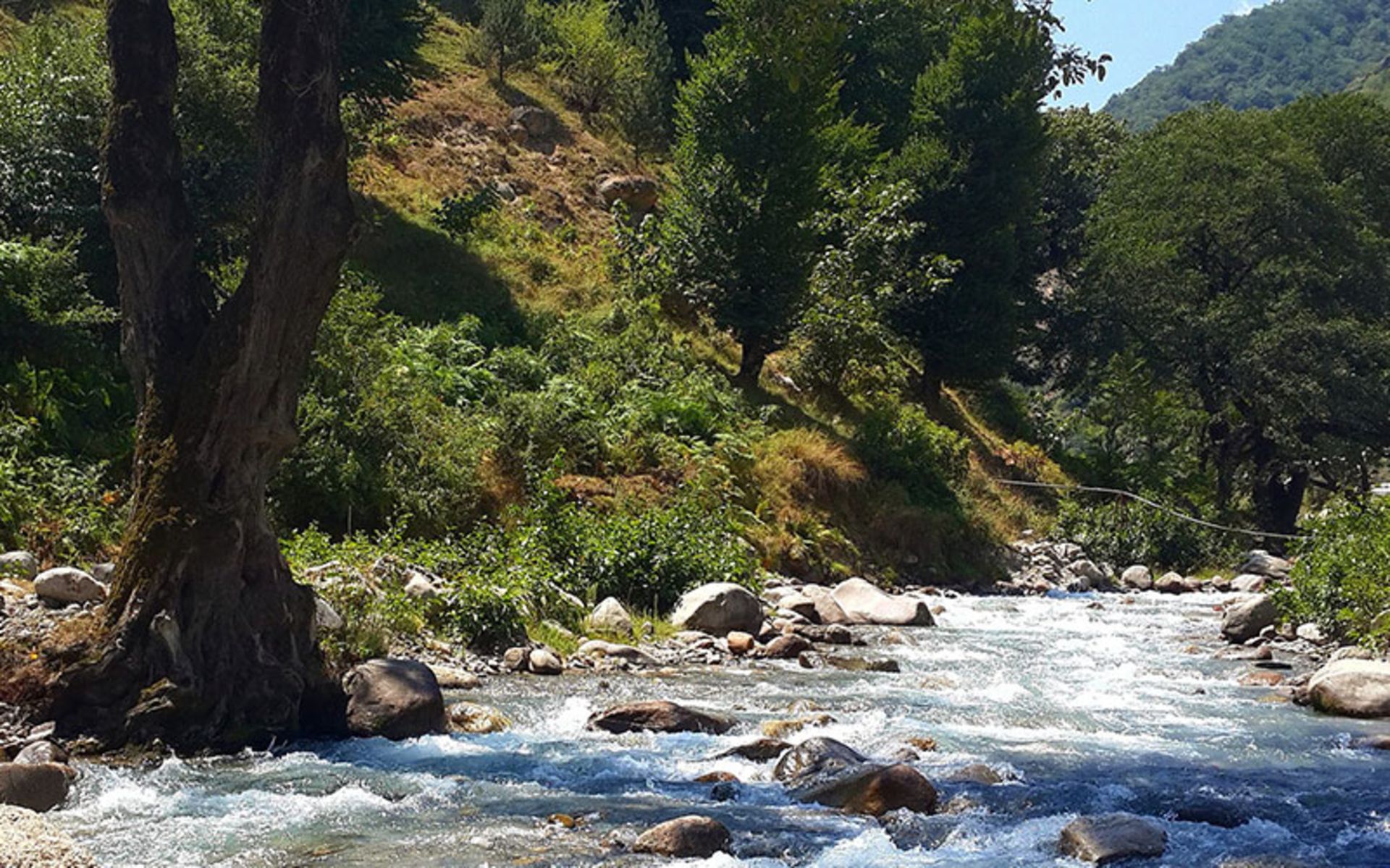 رودخانه پارک جنگلی رودبارک