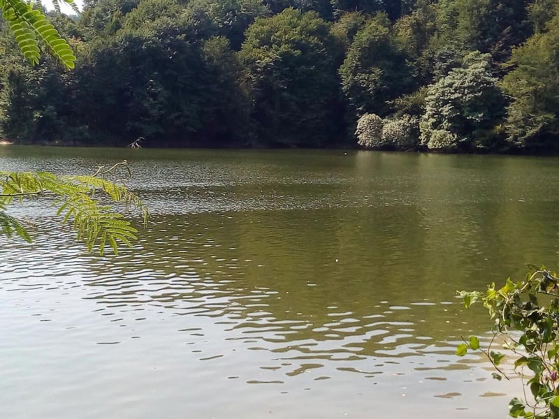 طبیعت دریاچه الیمالات