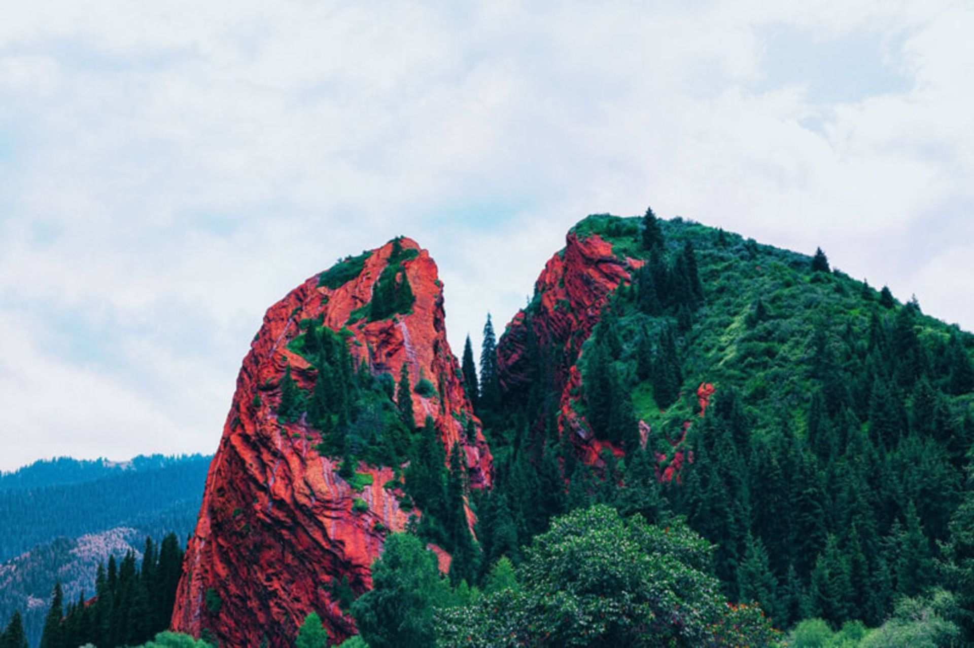 صخره‌ های سرخ و پوشیده از درختان سبز