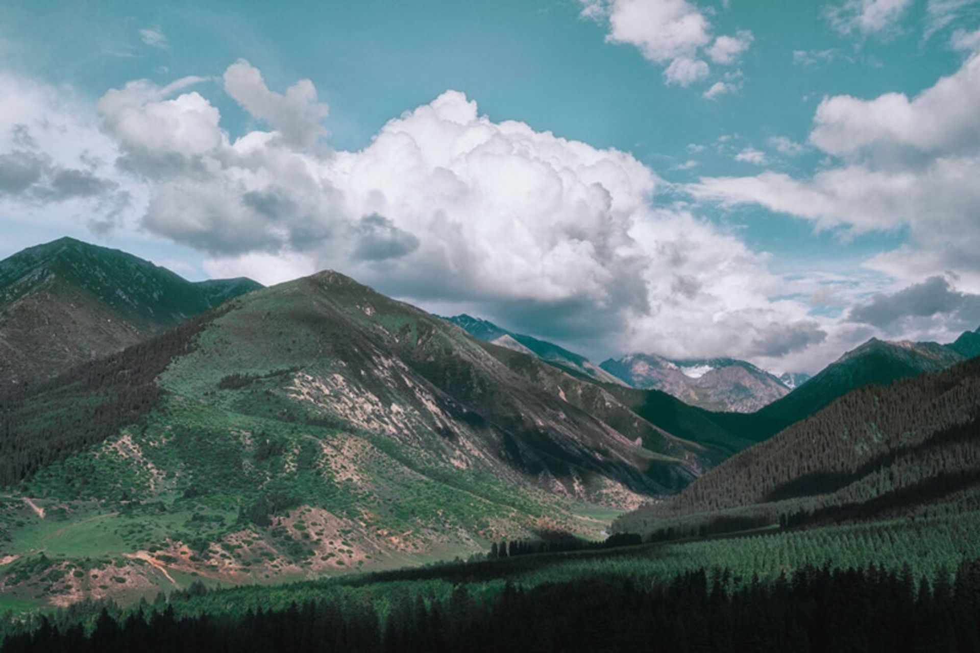 رشته‌ کوه‌ های سرسبز قرقیزستان