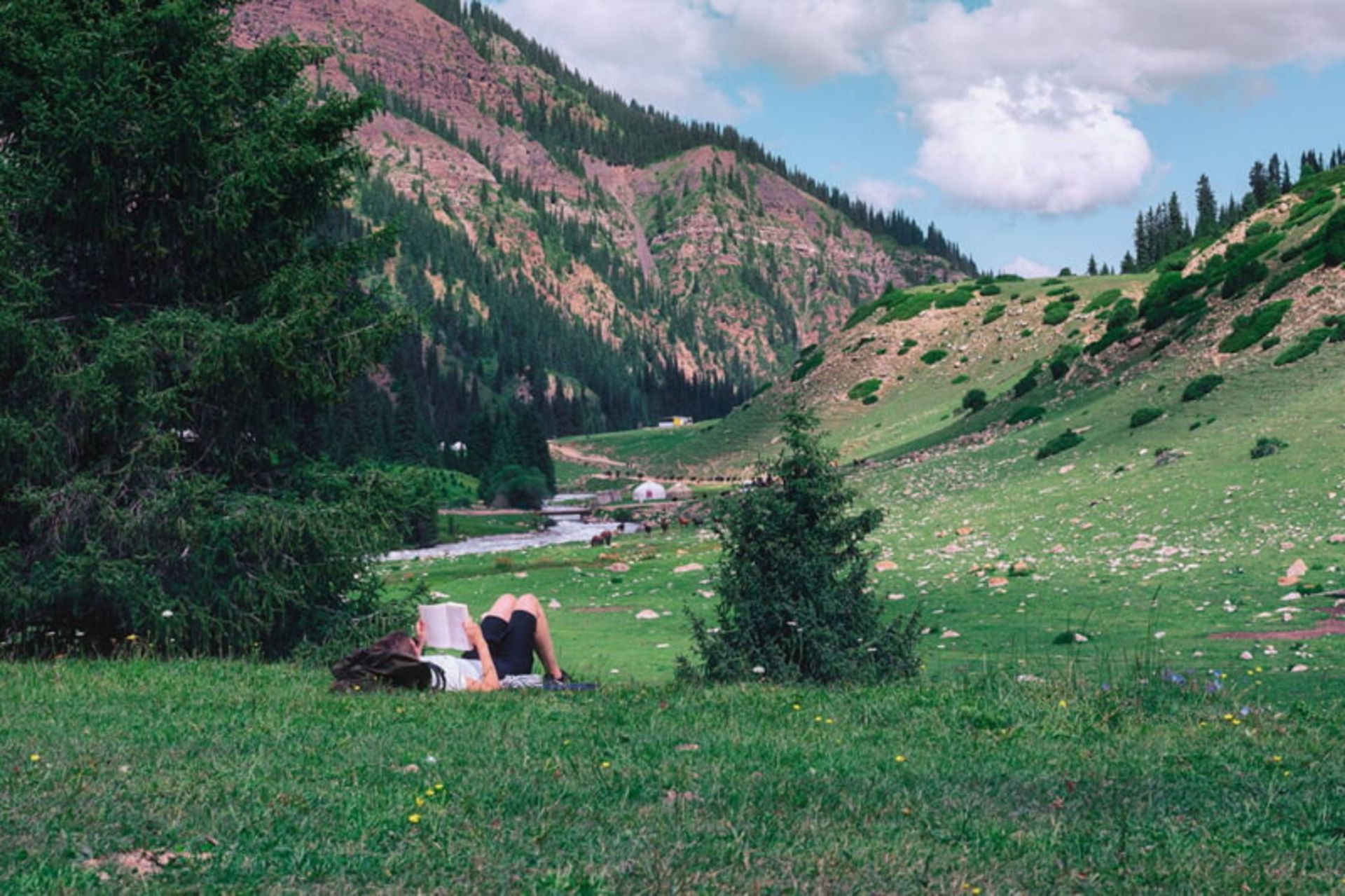 مطالعه در چمنزار سرسبز قرقیزستان