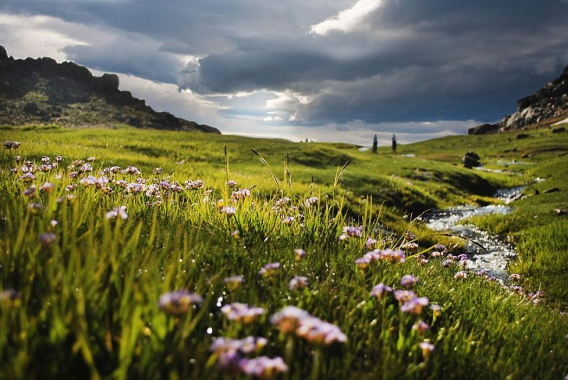 طبیعت دشت میشان همدان