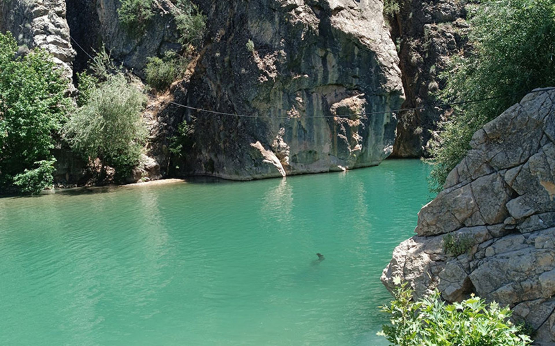 صخره های تنگ چیتاب یاسوج