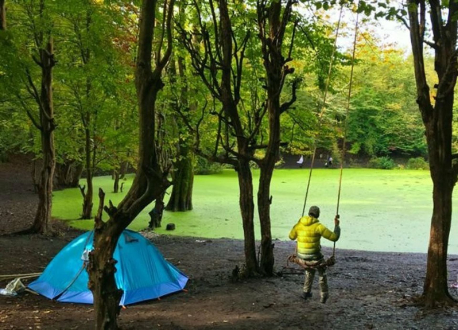 تفریح در مرداب هسل