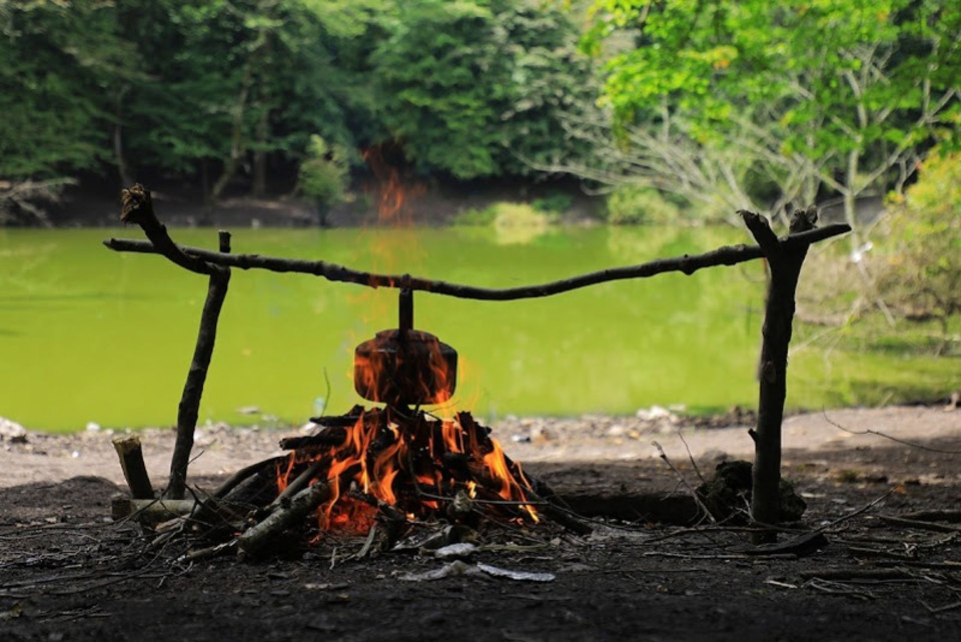 پیک نیک در مرداب هسل