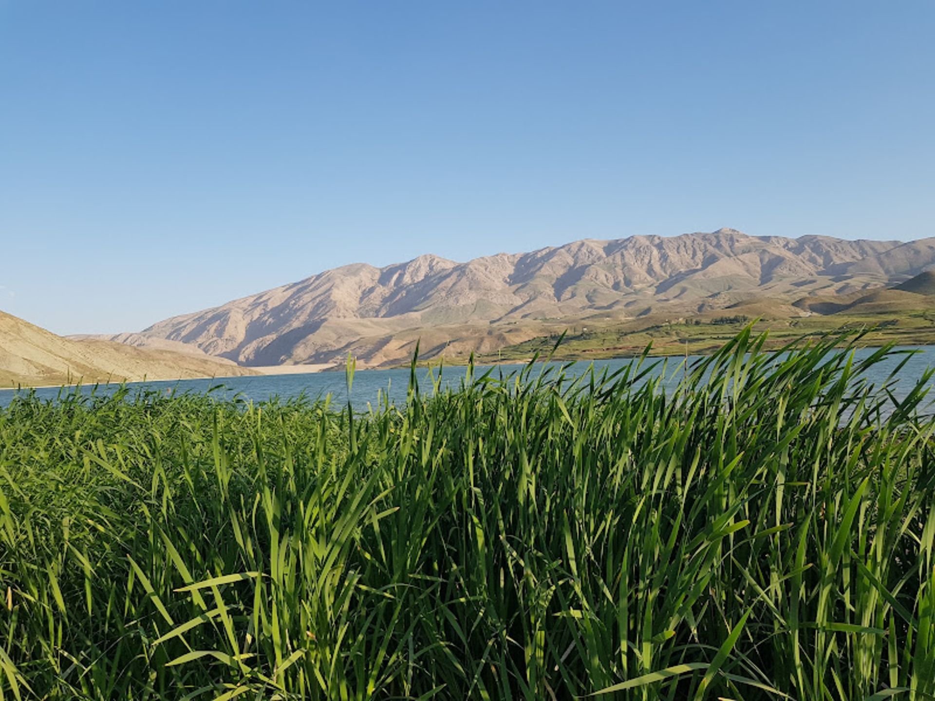 طبیعت روستای سله بن
