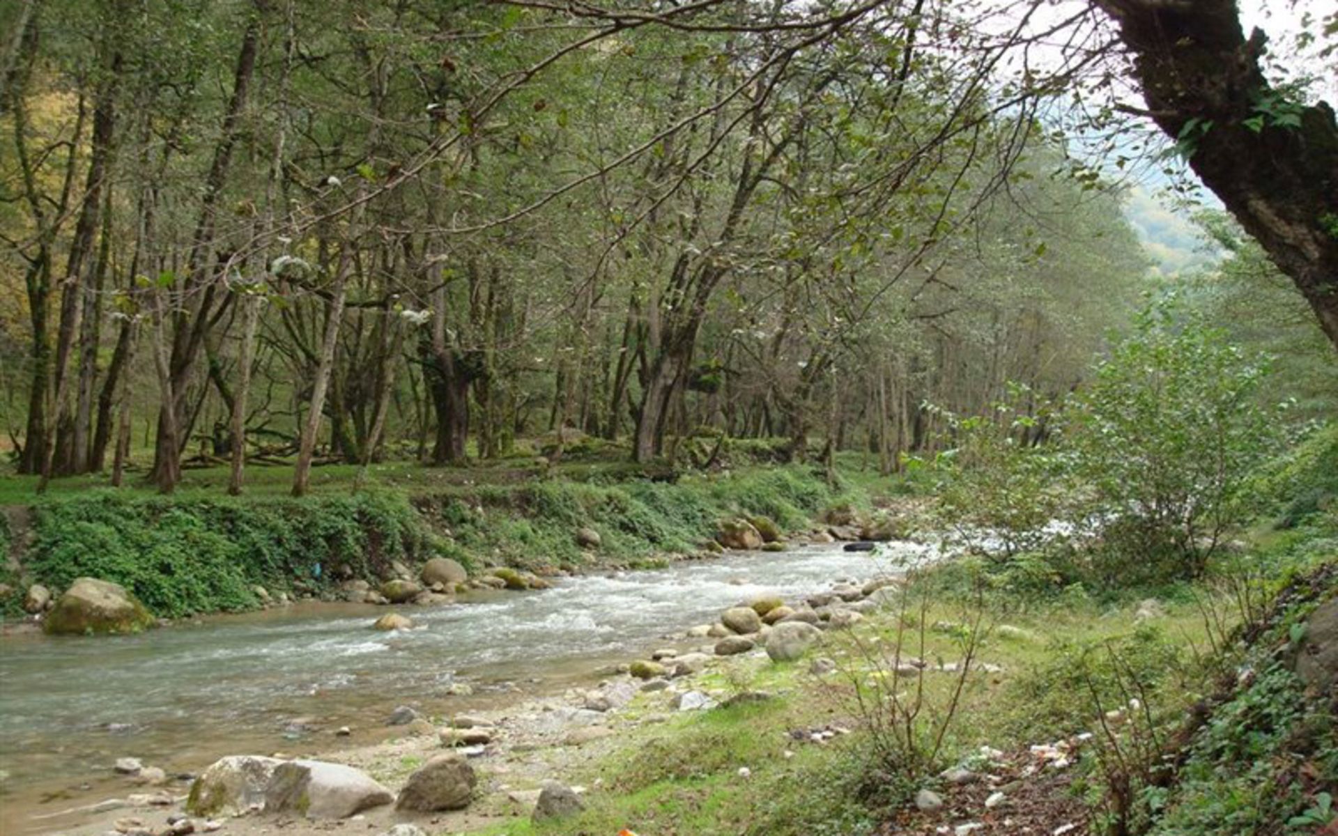 رودخانه چالوس در پارک جنگلی فین  