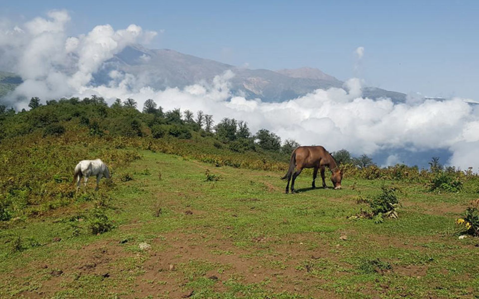 طبیعت کوهستانی مازیچال