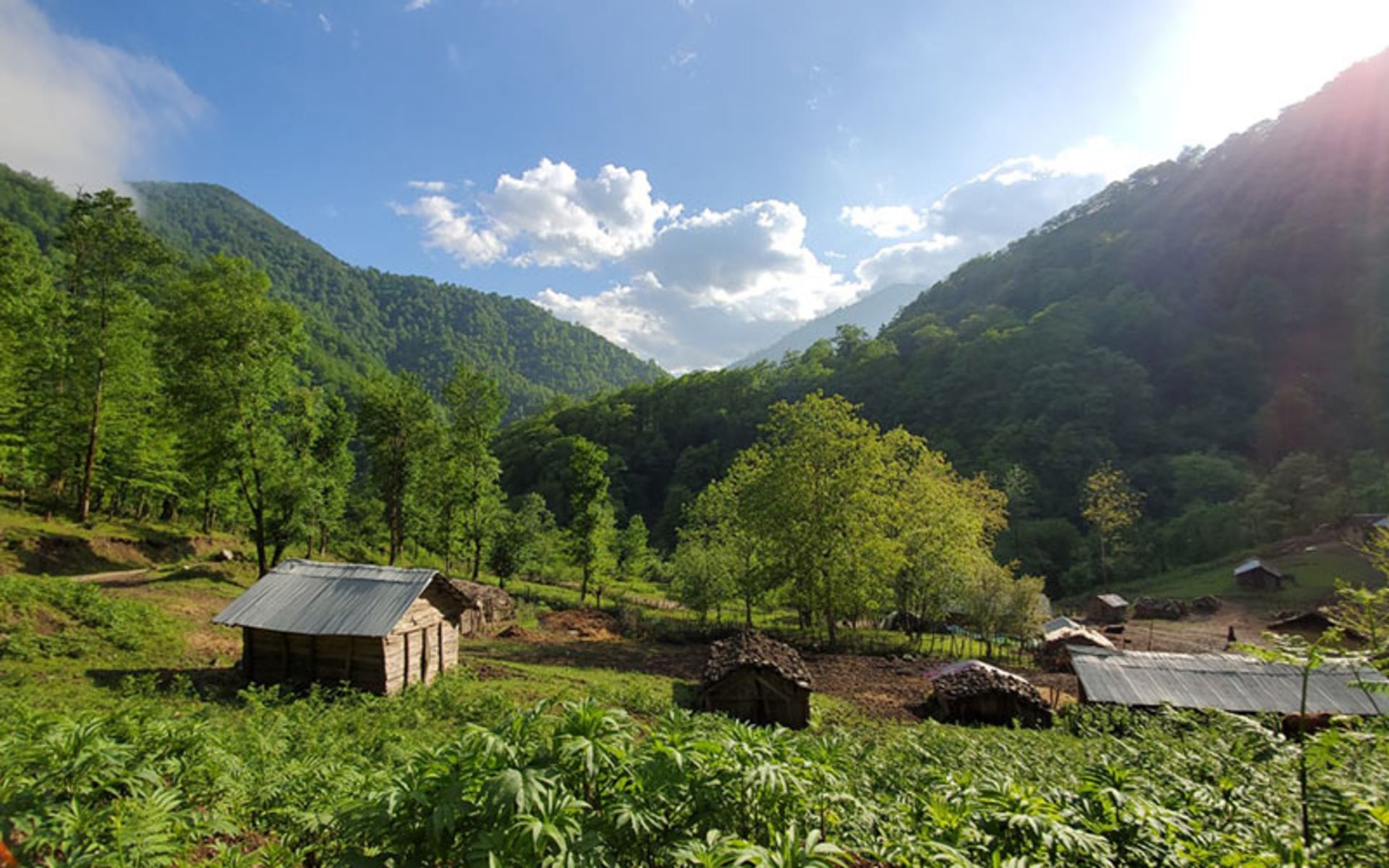 طبیعت شاندرمن