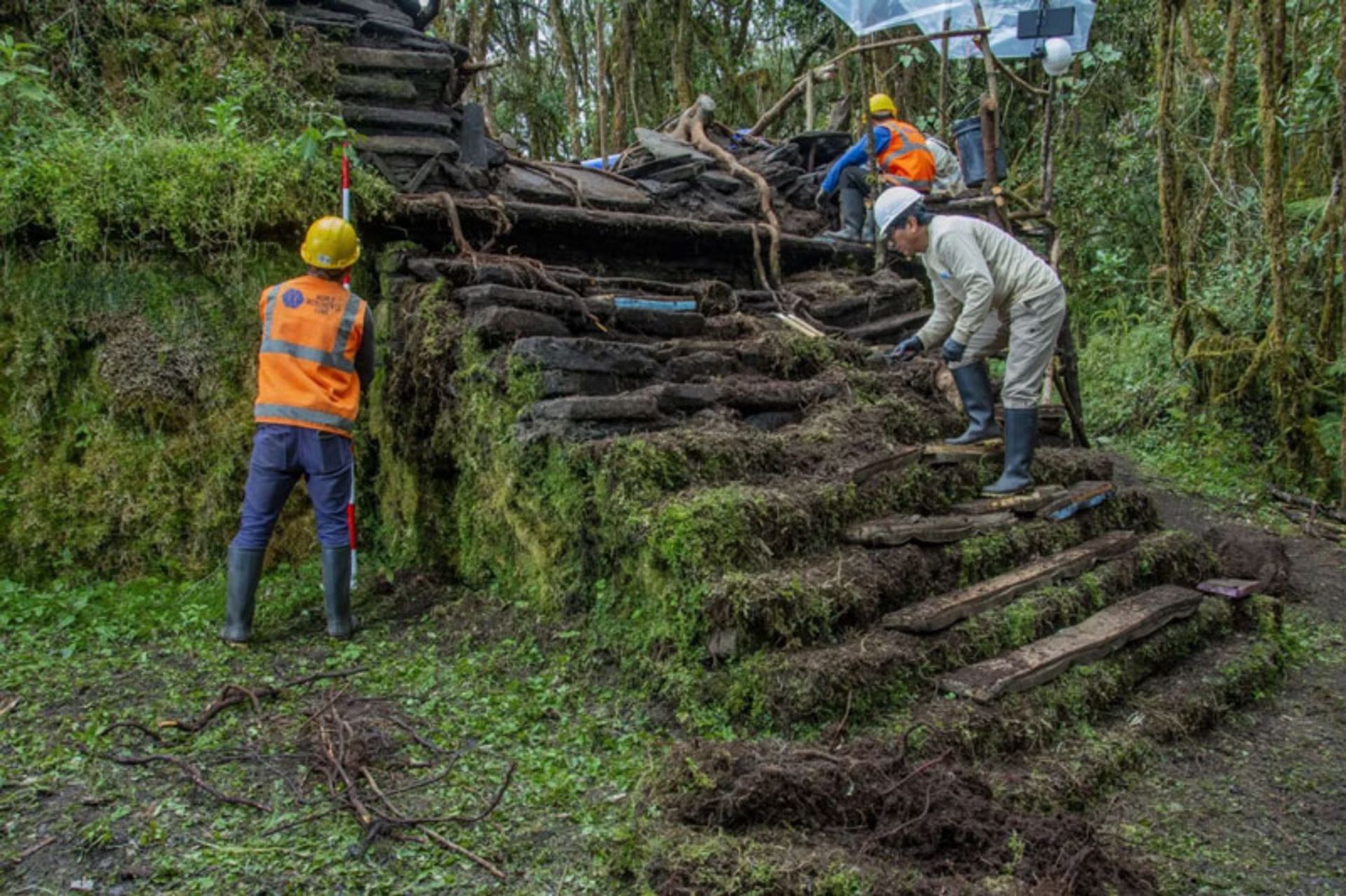 معمای باستانی در جنگل ابری؛ تمدن فراموششده چاچاپویا دوباره جان گرفت 3 تمدن چاچاپویا