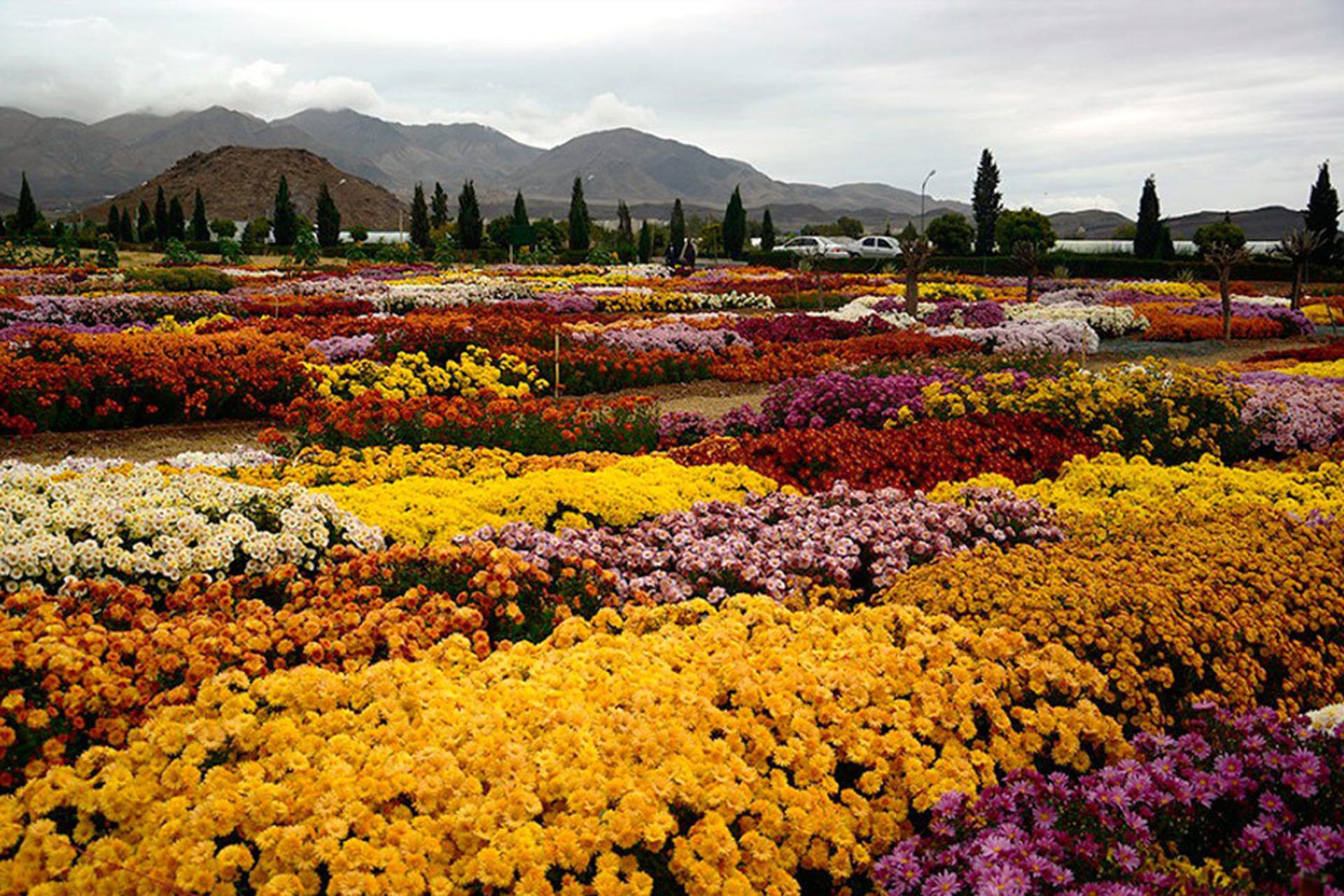 راهنمای سفر یک روزه به محلات