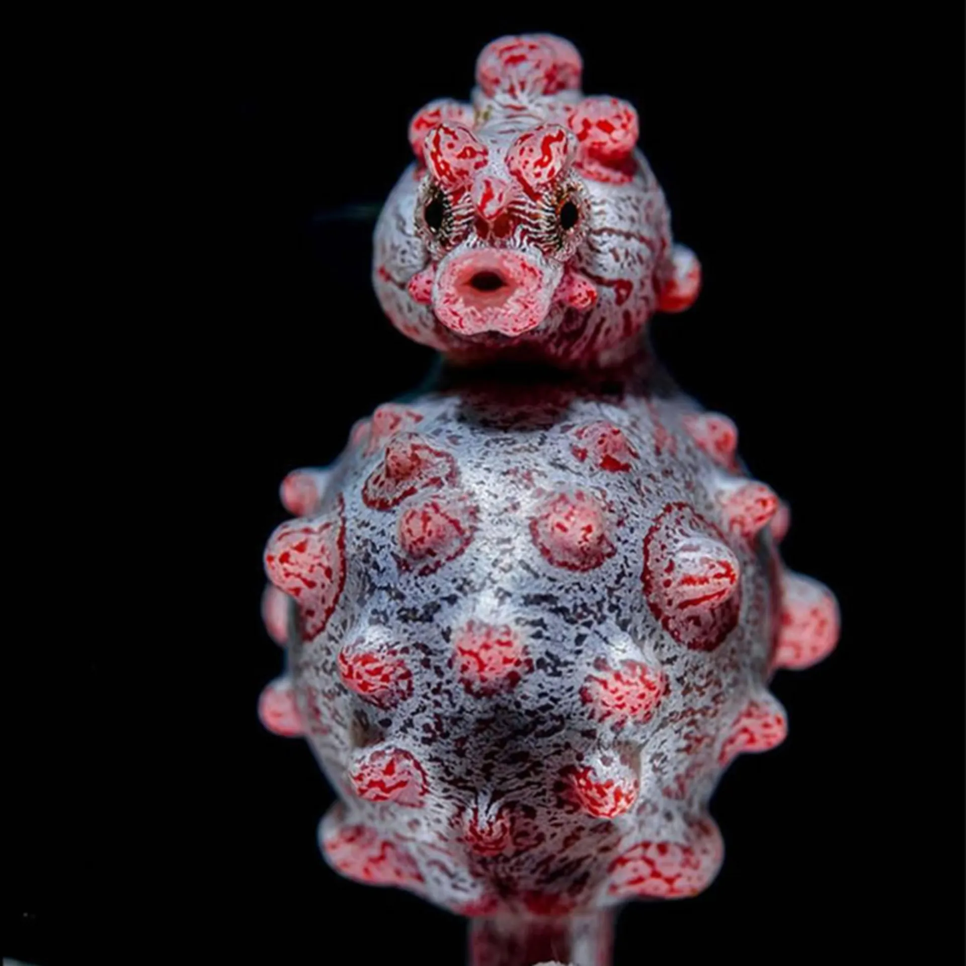 اسب دریایی نر به رنگ صورتی