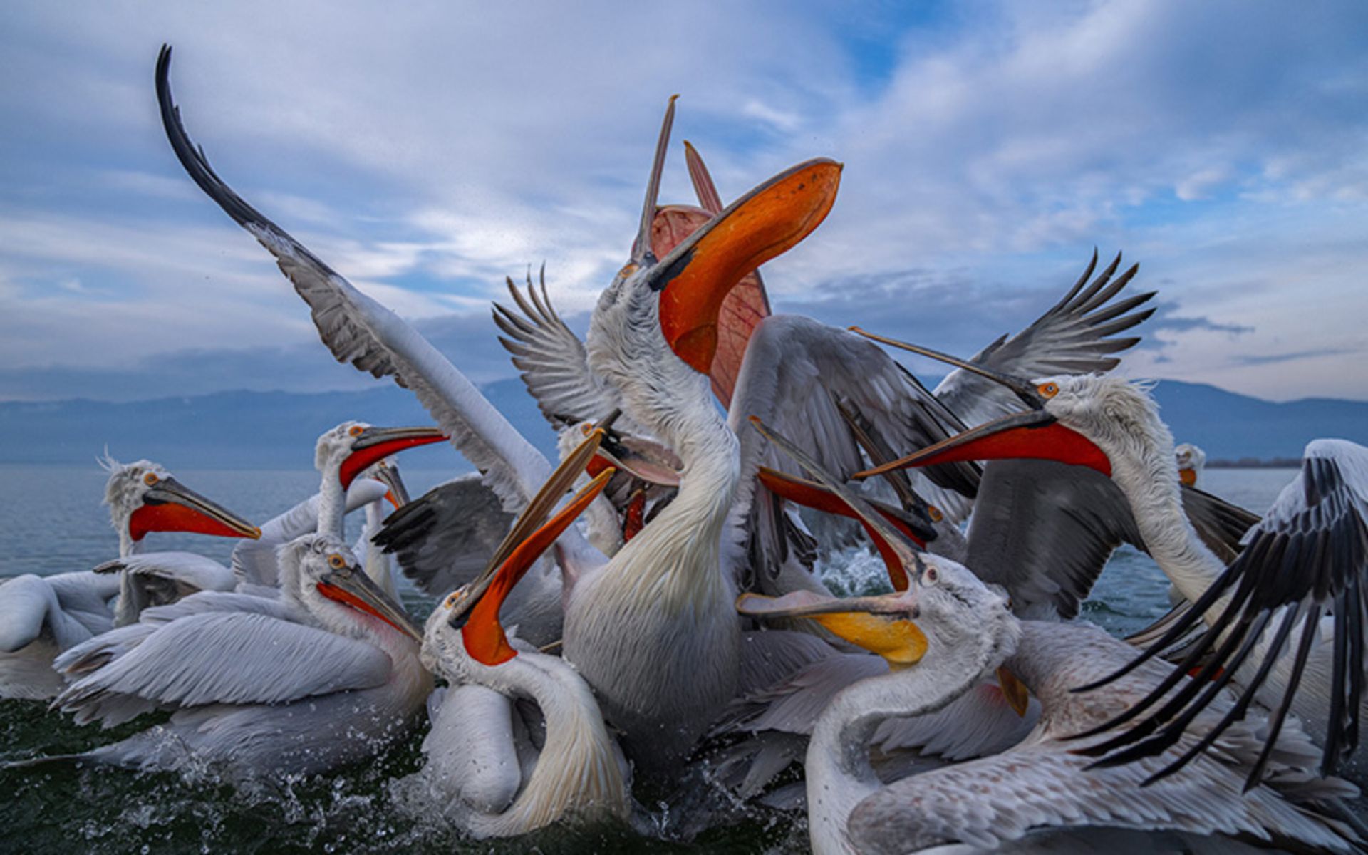 چندین پلکان در ساحل