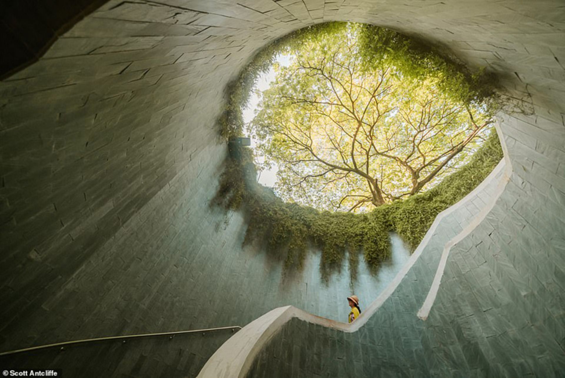 منظره ای در سنگاپور