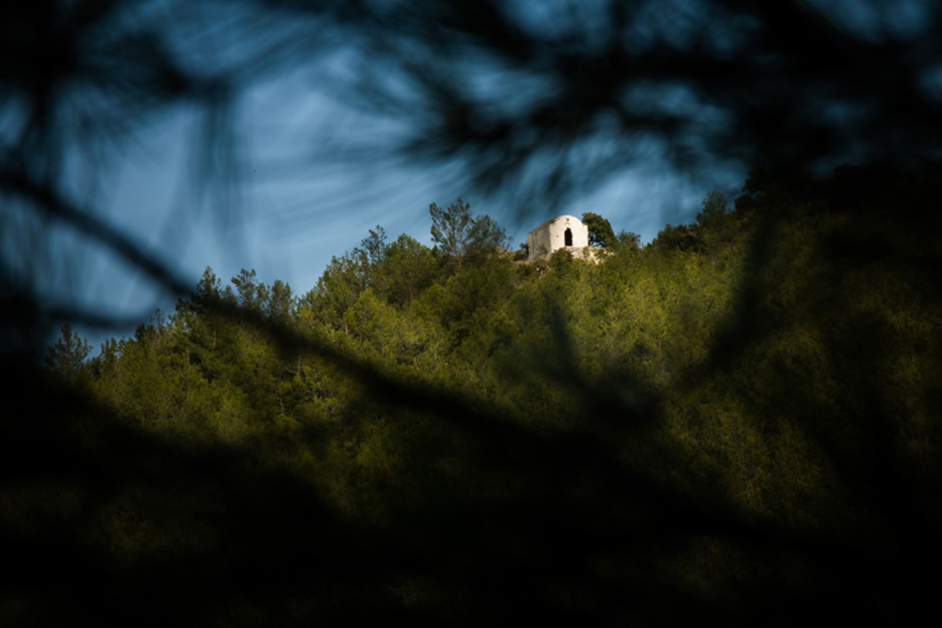 منظره سرسبزی در کایاکوی