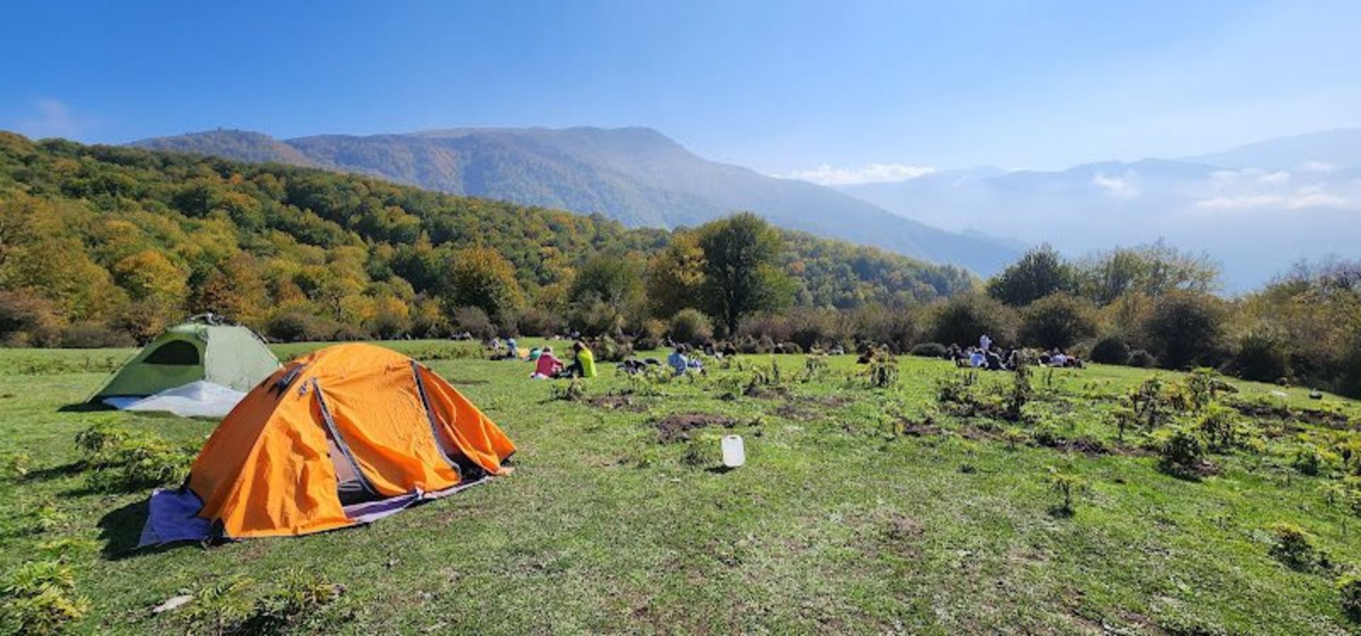 کمپینگ در جنگل الیمستان