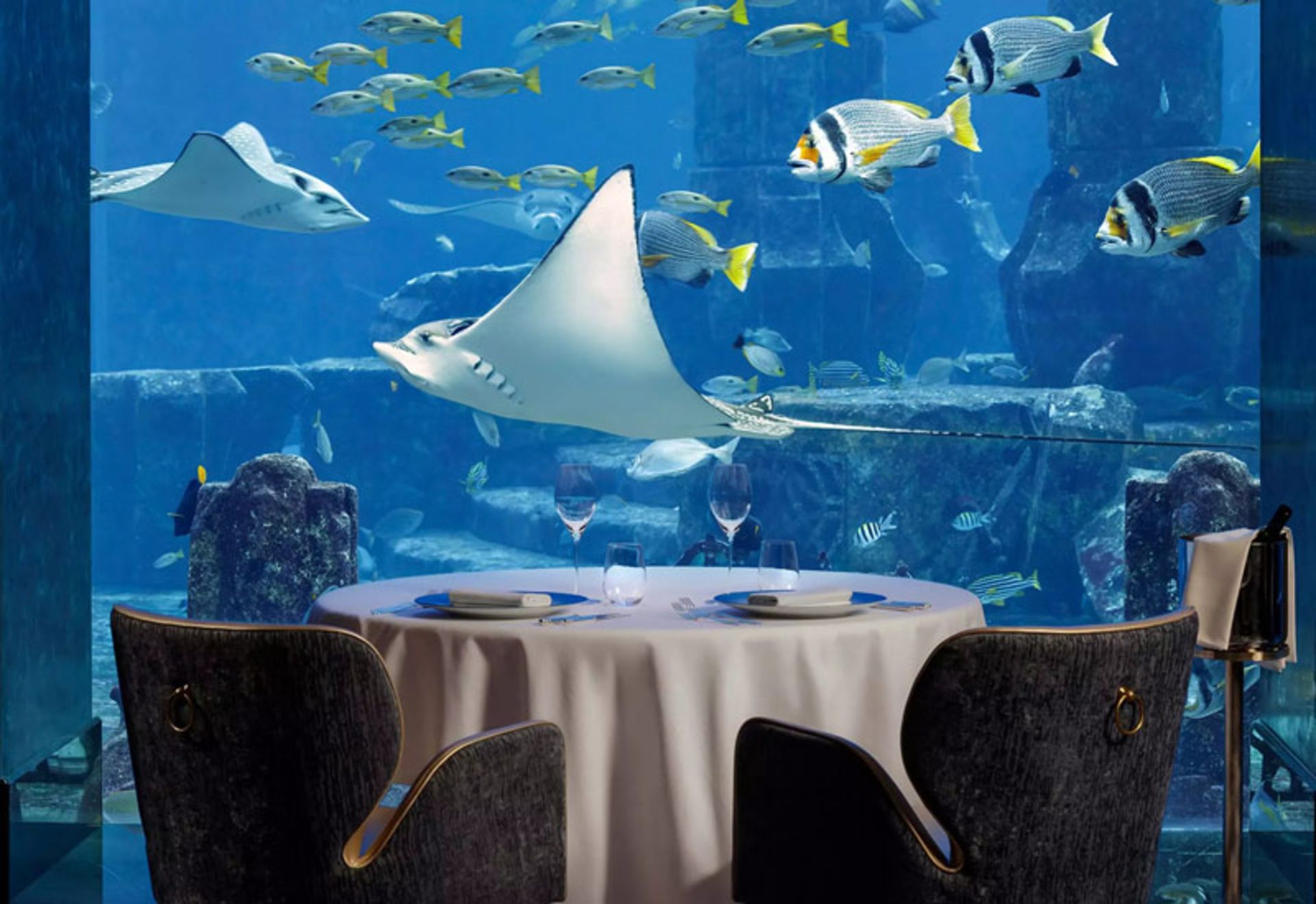 رستوران در آکواریوم دبی