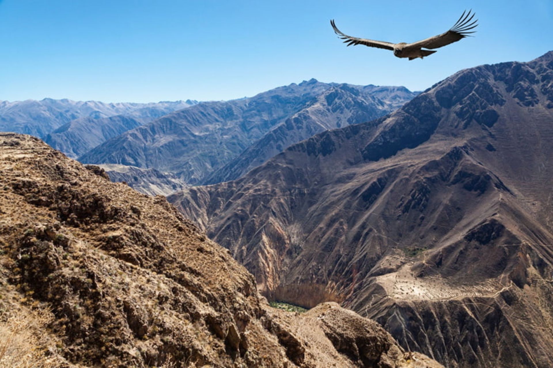  دره عمیق کولکا (Colca Canyon) در پرو