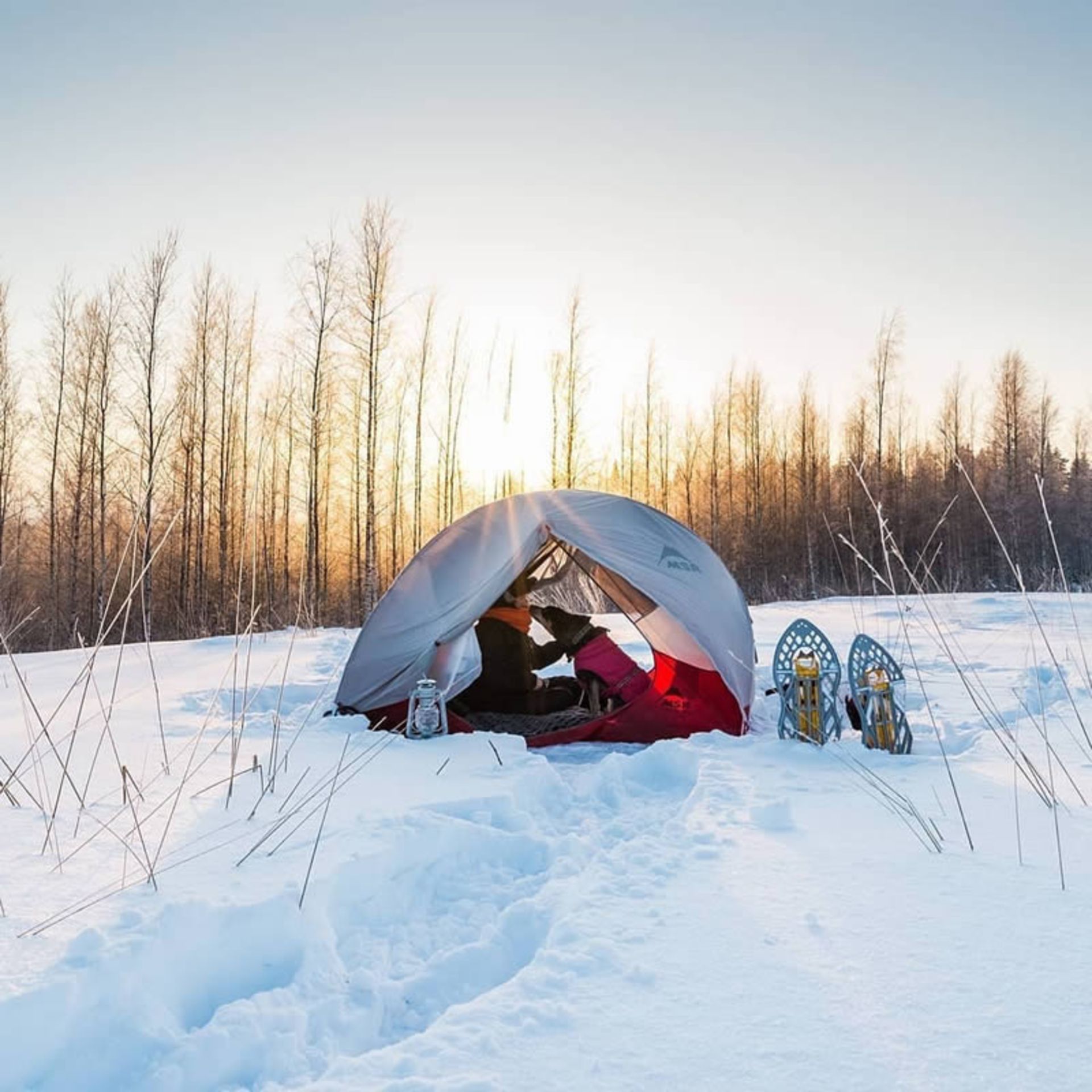 چادر زدن در برف