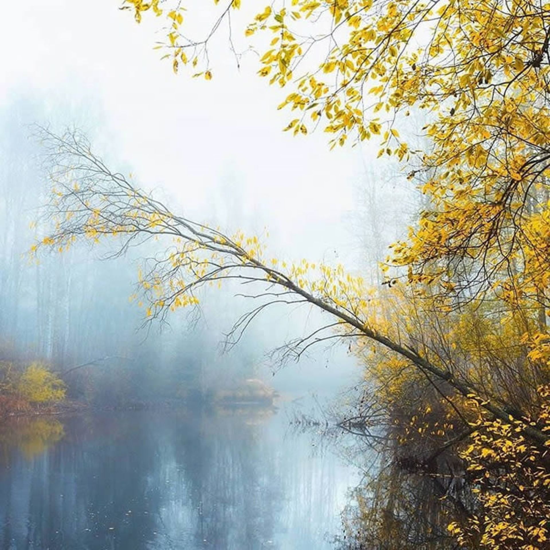 منظره پاییزی رودخانه ای در فنلاند