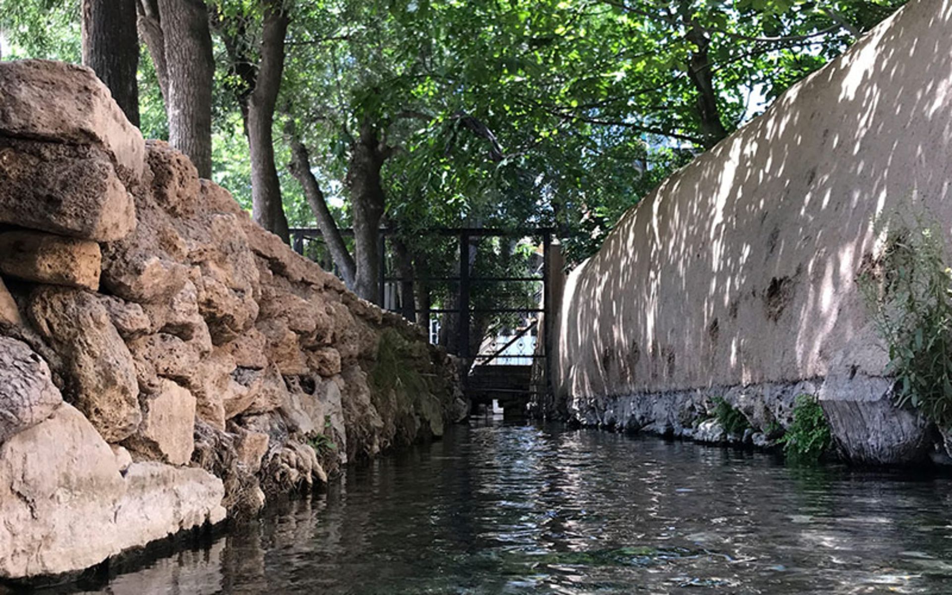 رودخانه و درختان سرسبز در نیاسر