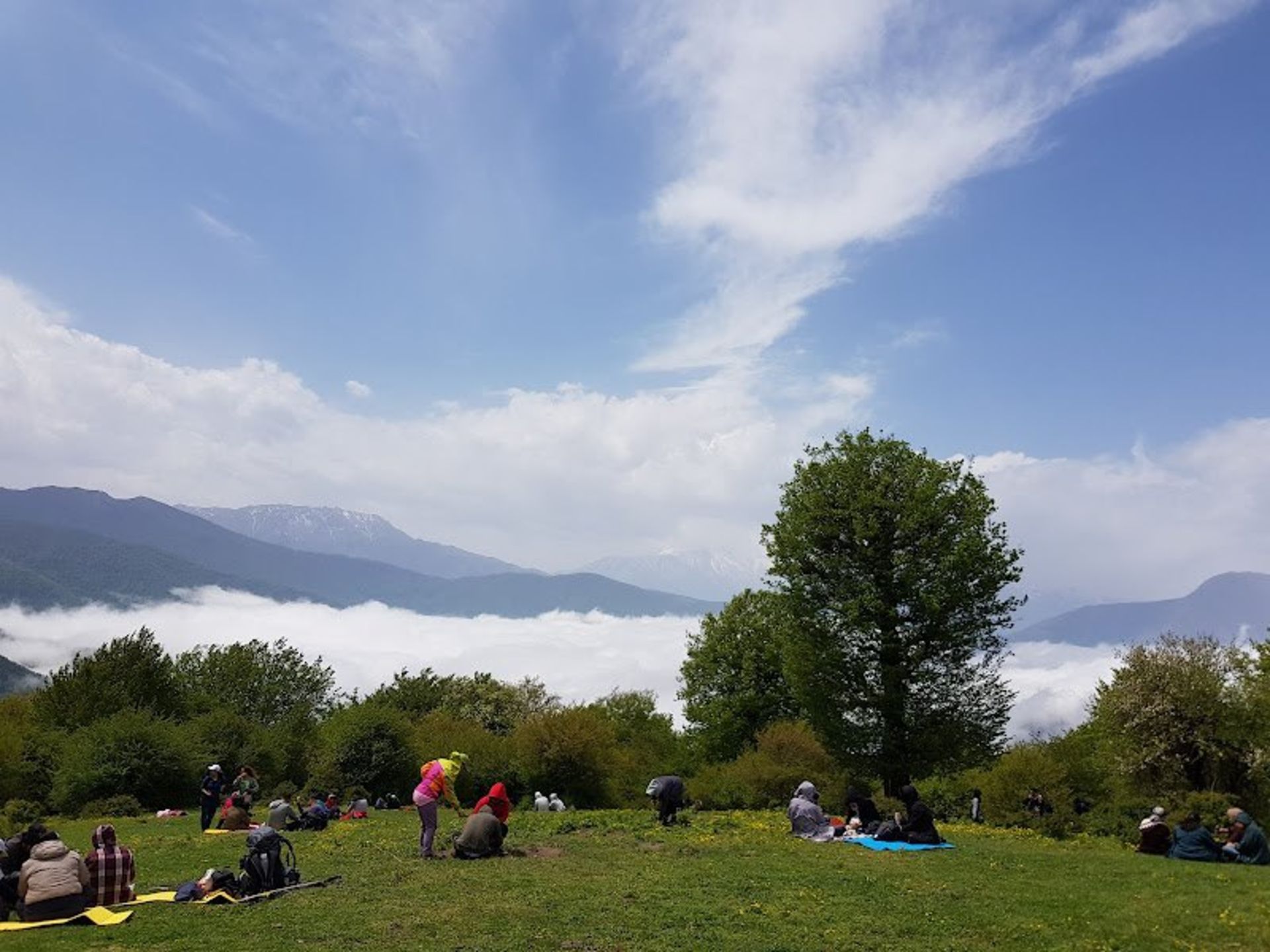 پیک نیک در جنگل الیمستان