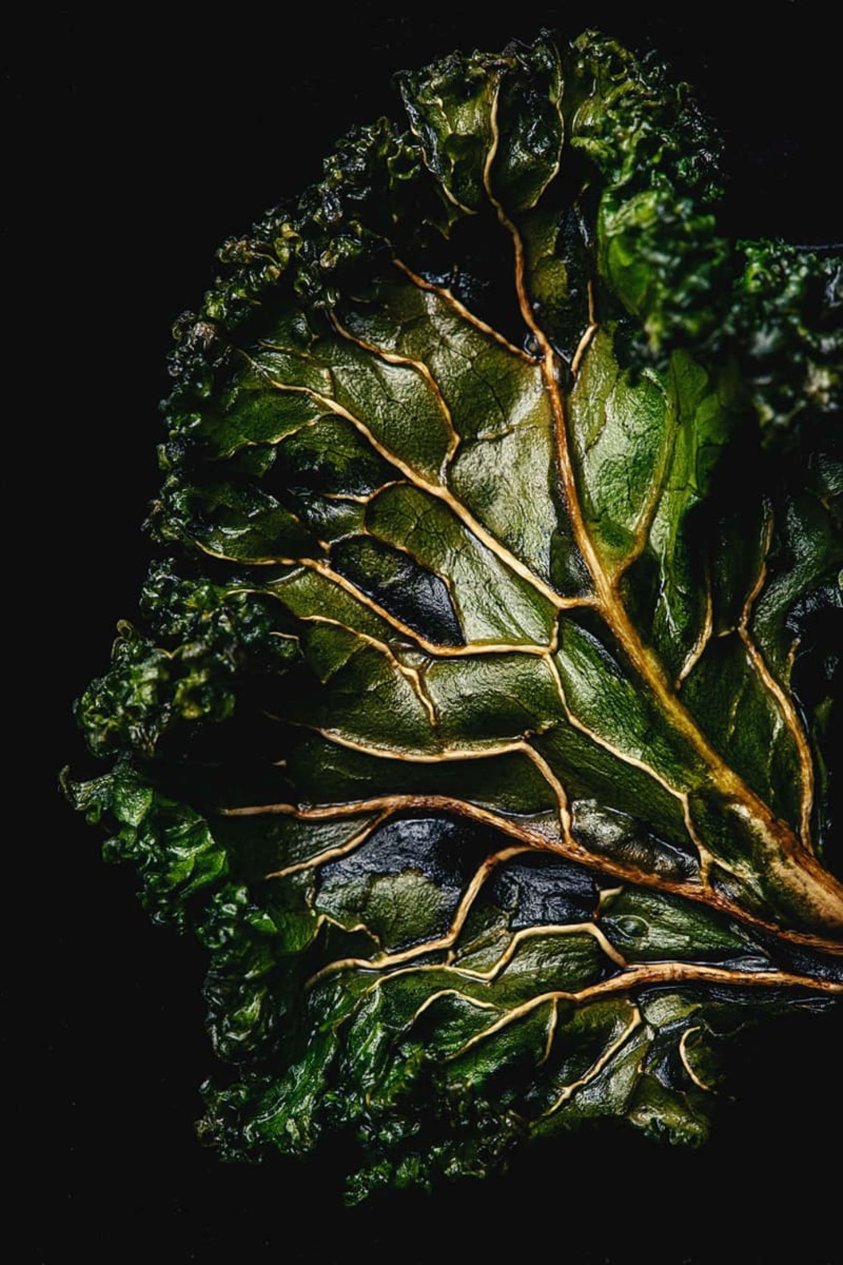 عکس کلوزآپ برگ کلم 