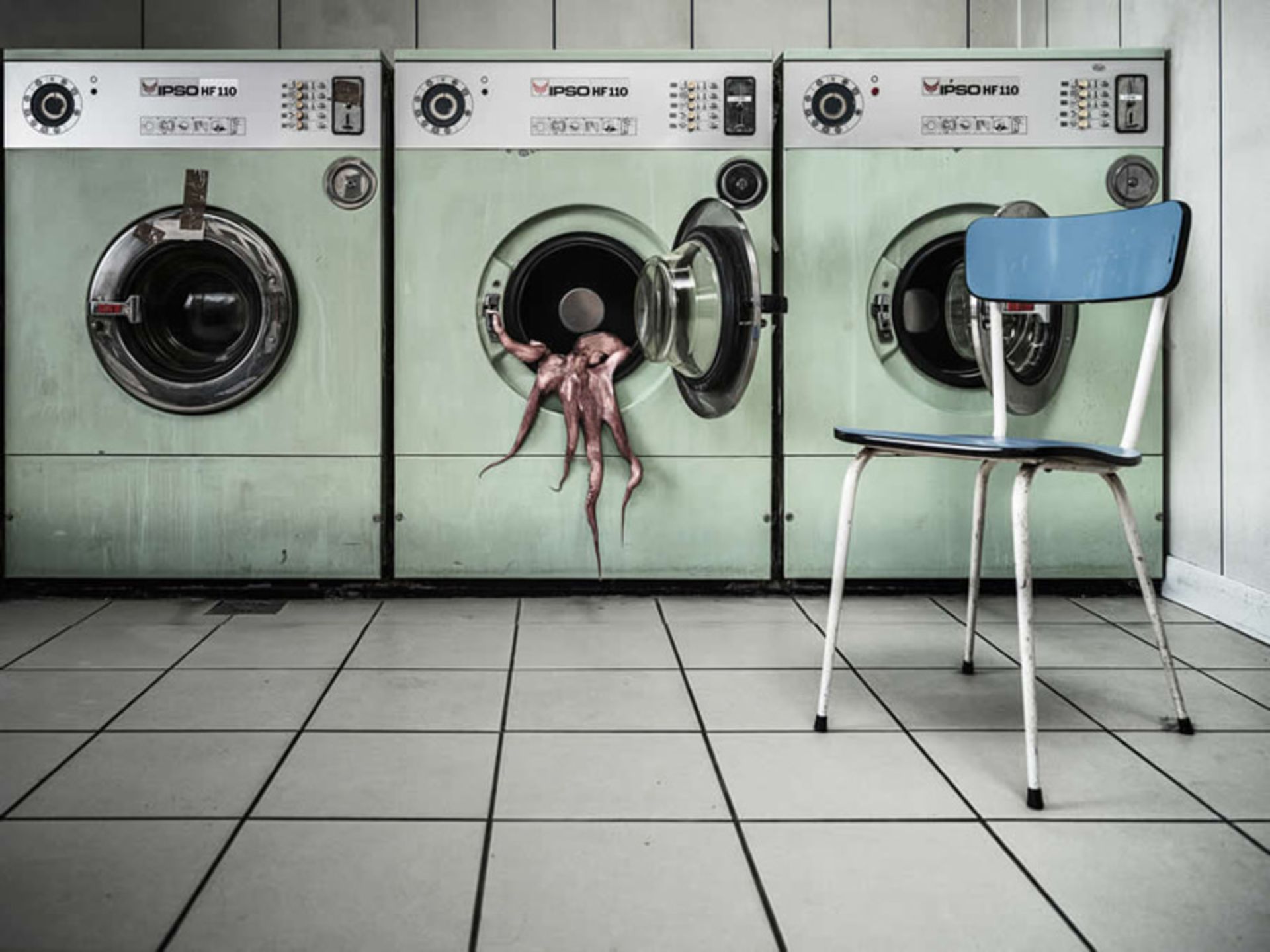 شستن اختاپوس در ماشین لباسشویی