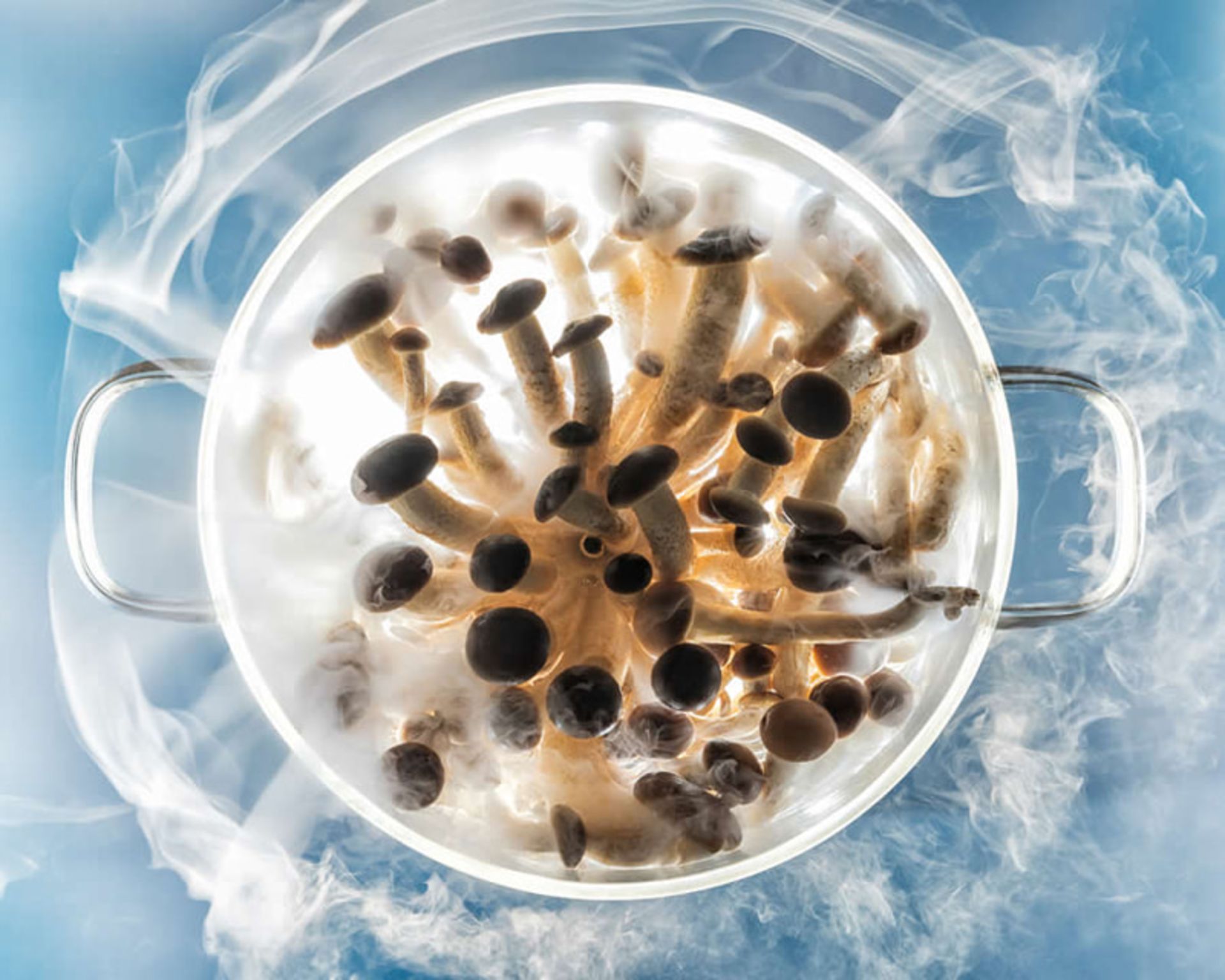 قارچ ها در قابلمه