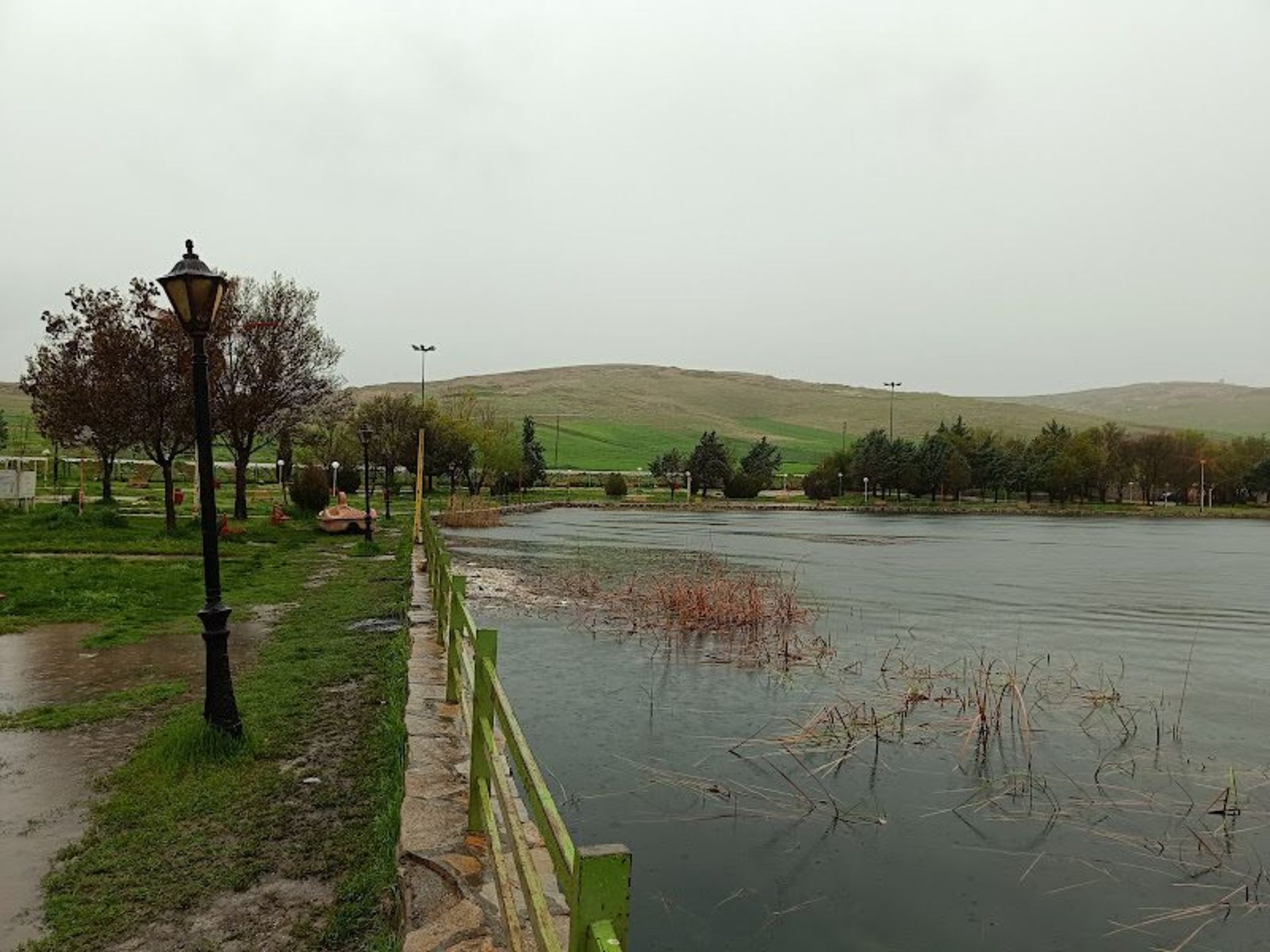 درختان و پوشش گیاهی سراب نیلوفر کرمانشاه