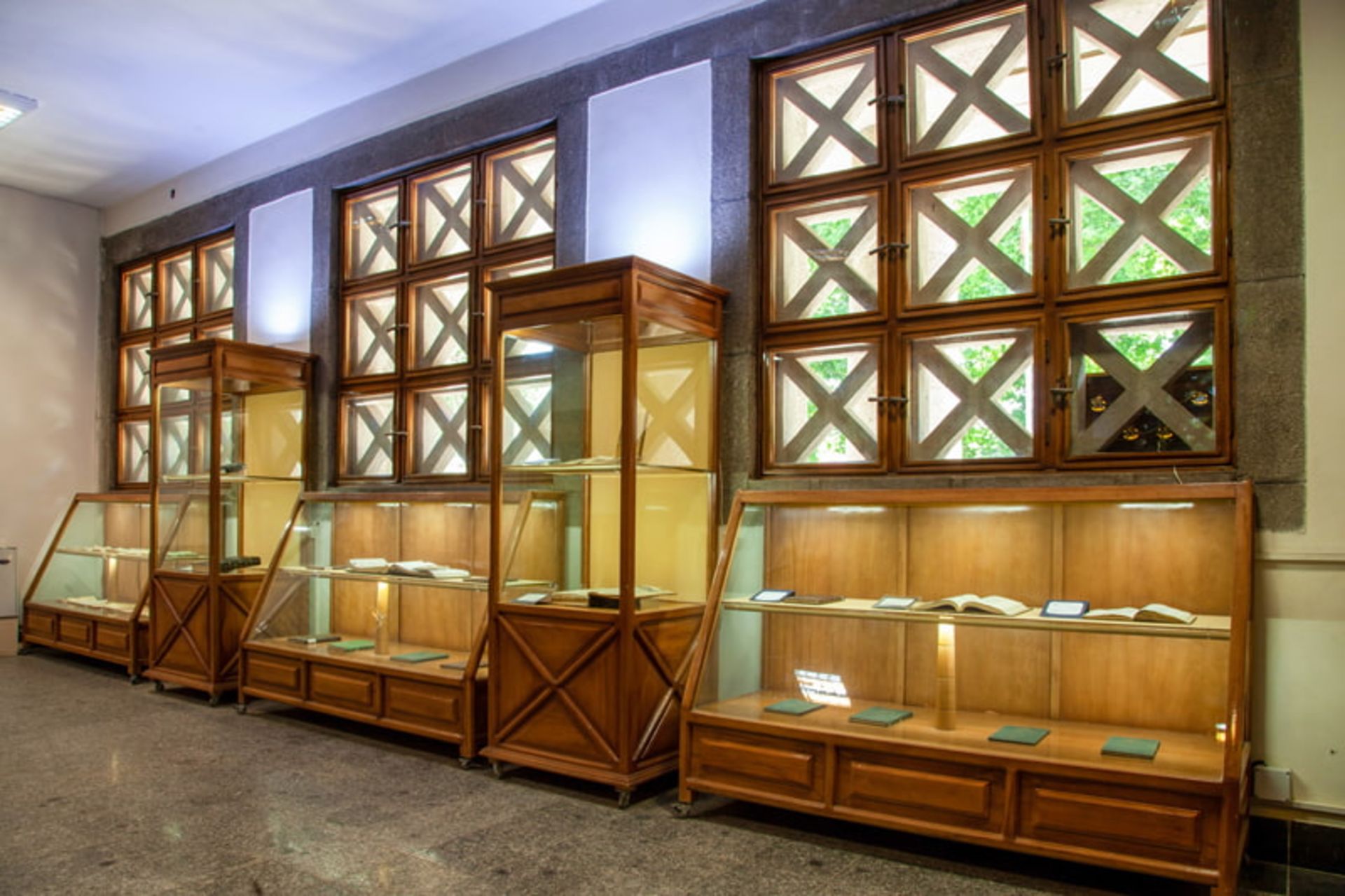 قفسه های موزه ابن سینا