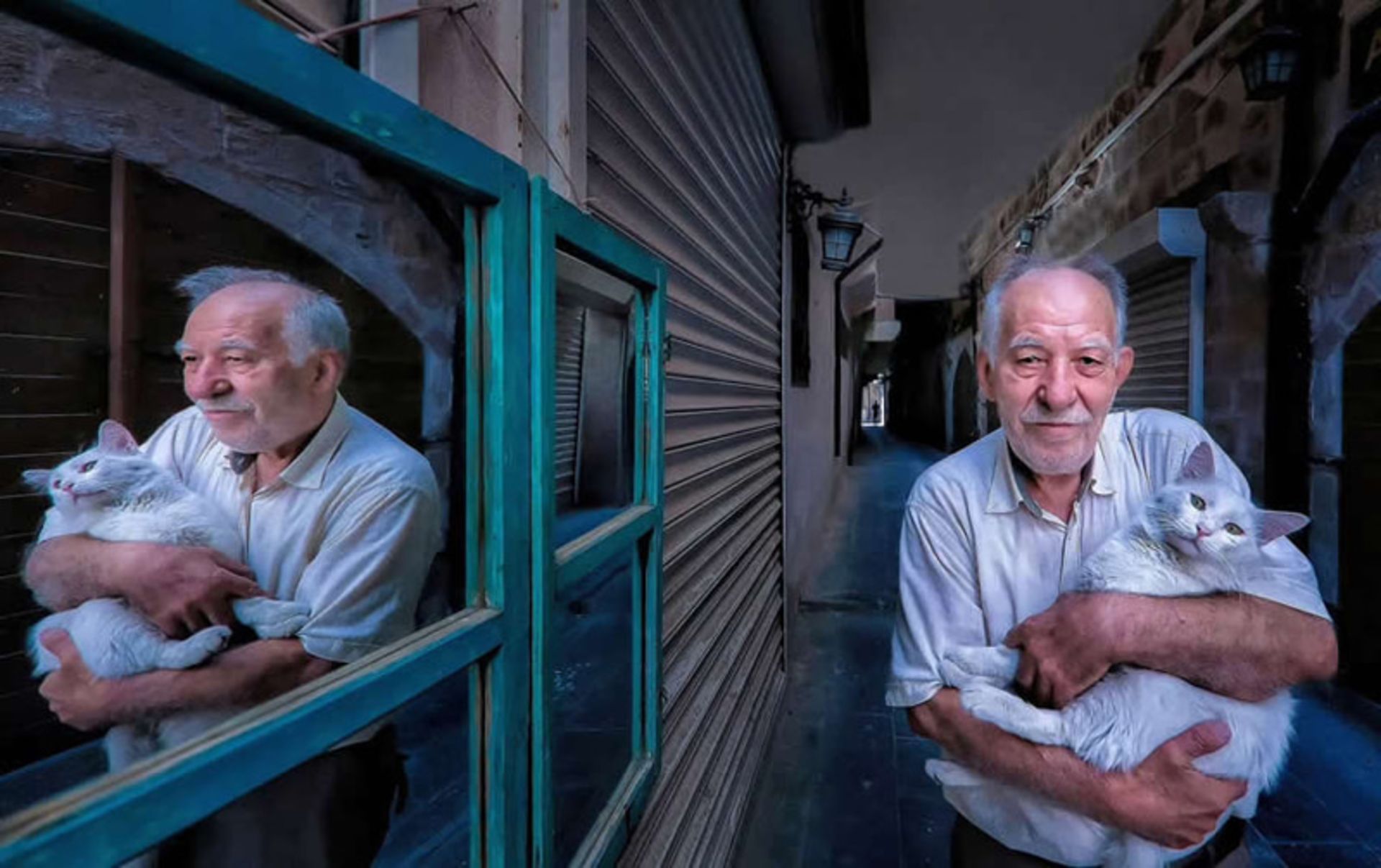 مرد مسن ترک و گربه اش