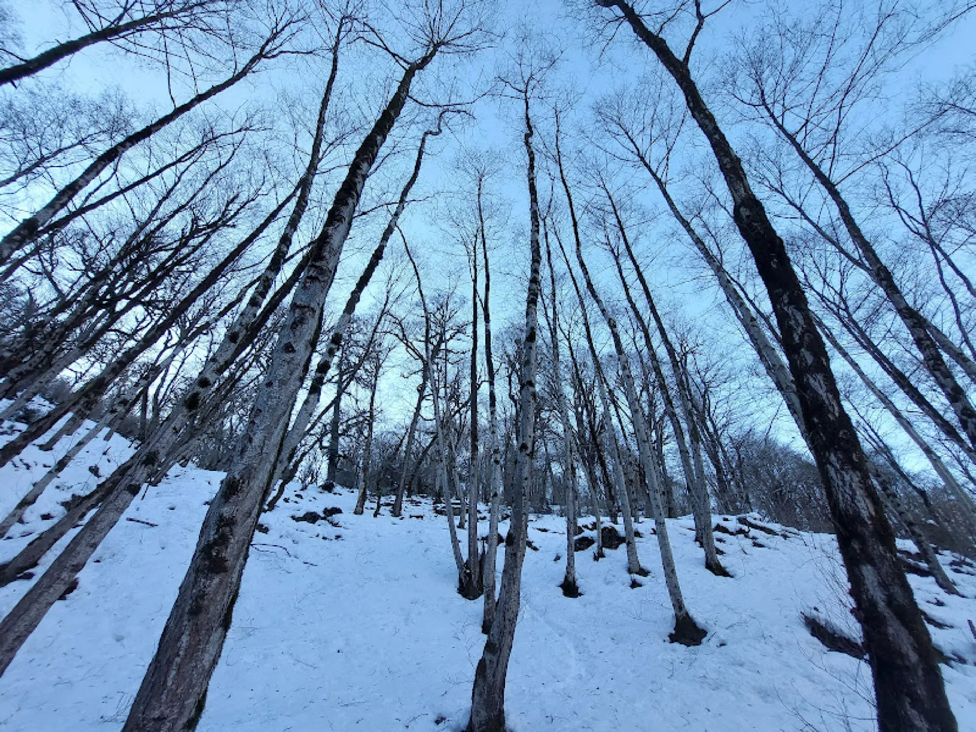 طبیعت ماسال در زمستان