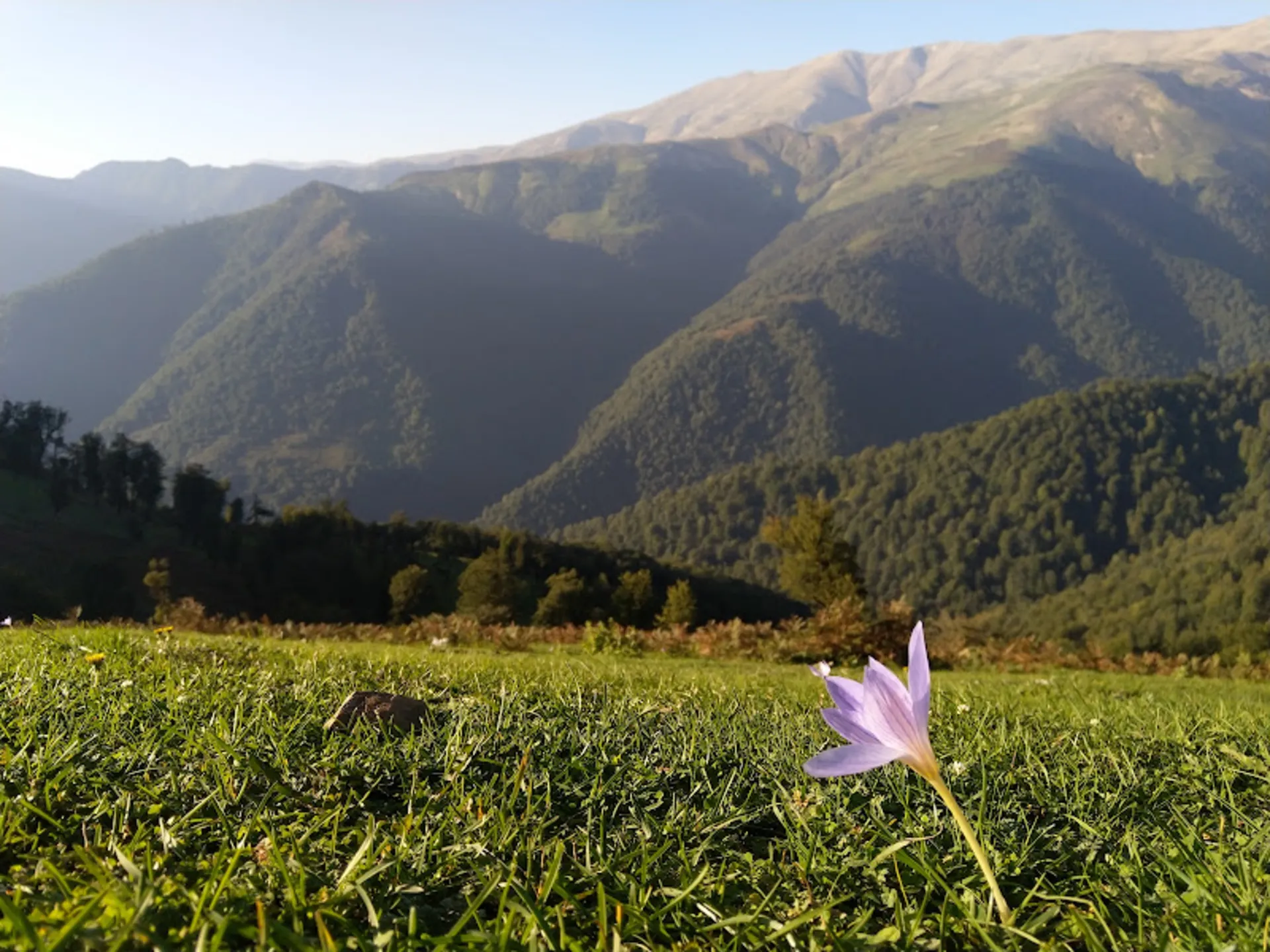 ماسال در فصل بهار