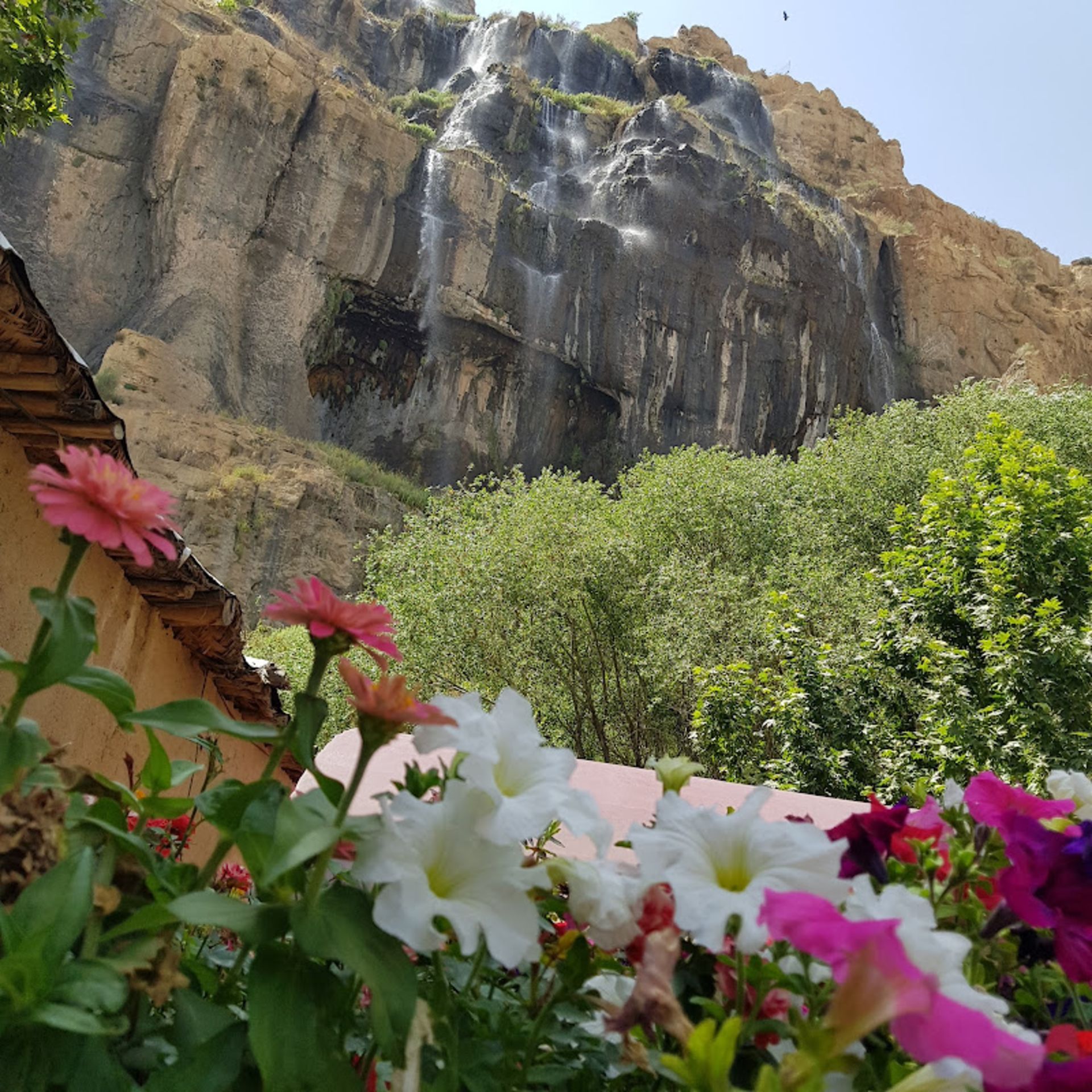 آبشار و گل های دشت ارژن