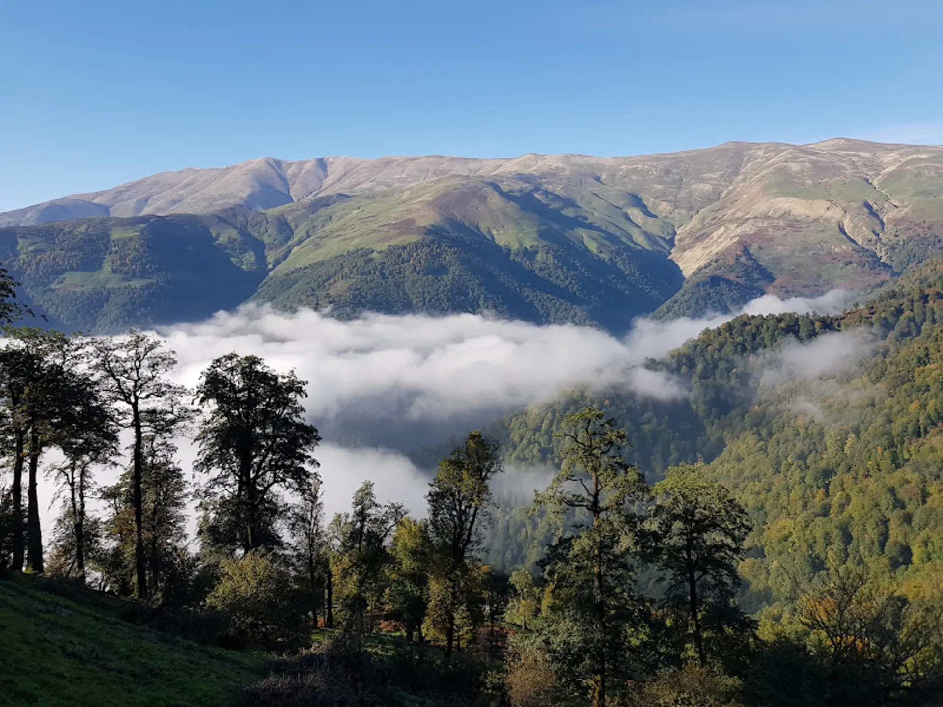 اقیانوس ابر در ماسال