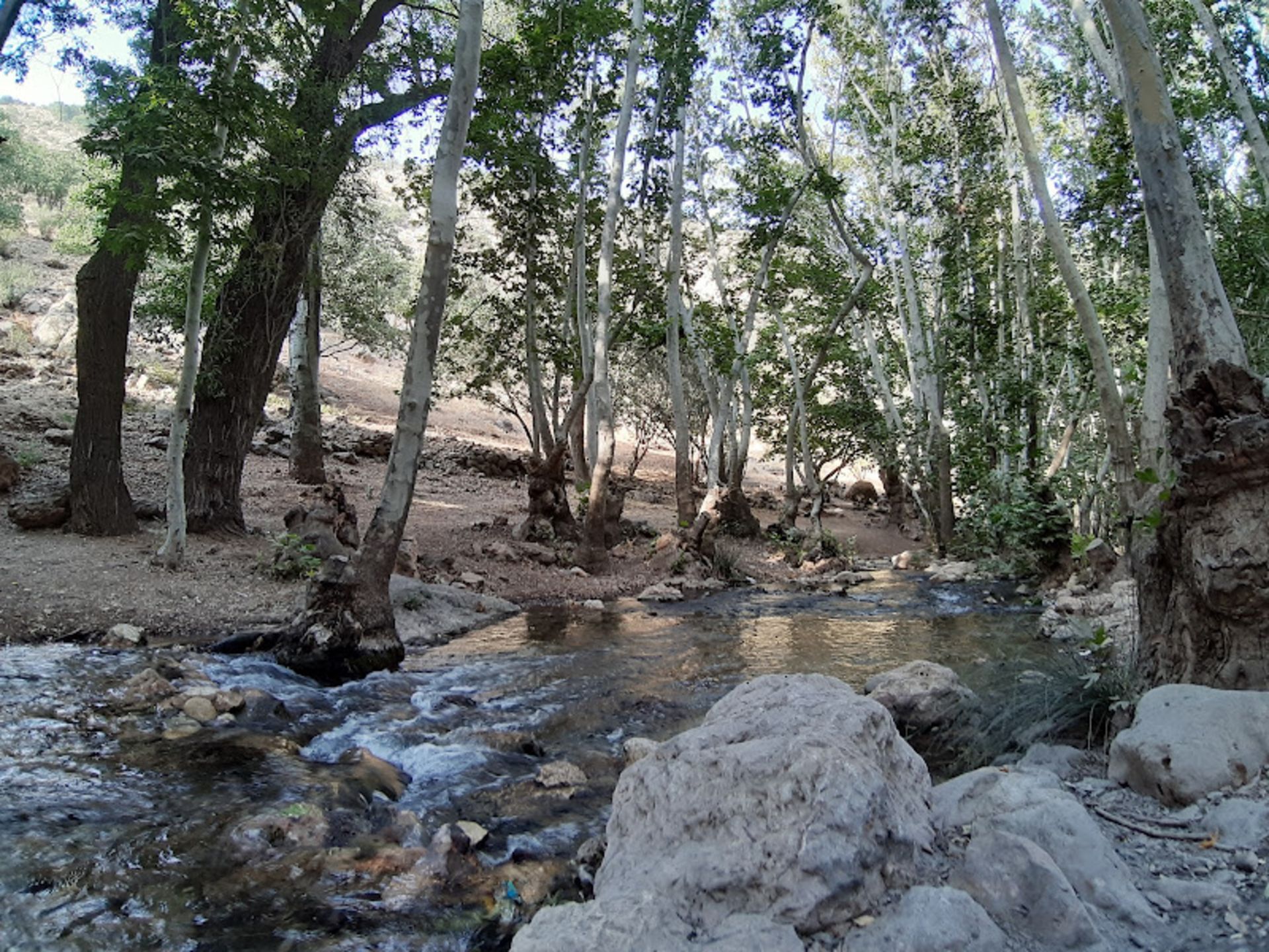 رودخانه و طبیعت تنگ غوره دان در استان فارس